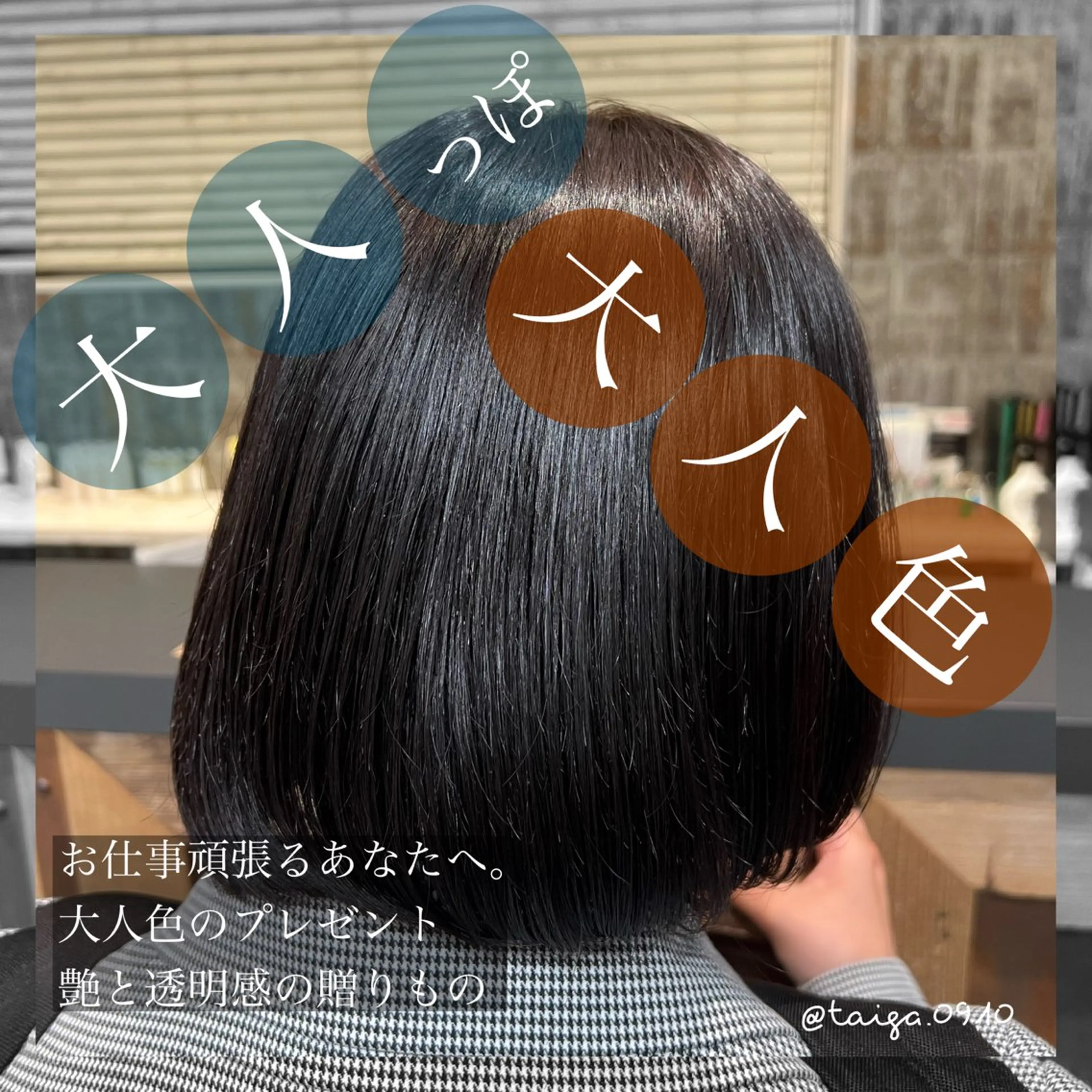 ミディアム カラー レディースヘア💫 加藤たいが🐯のヘアスタイル