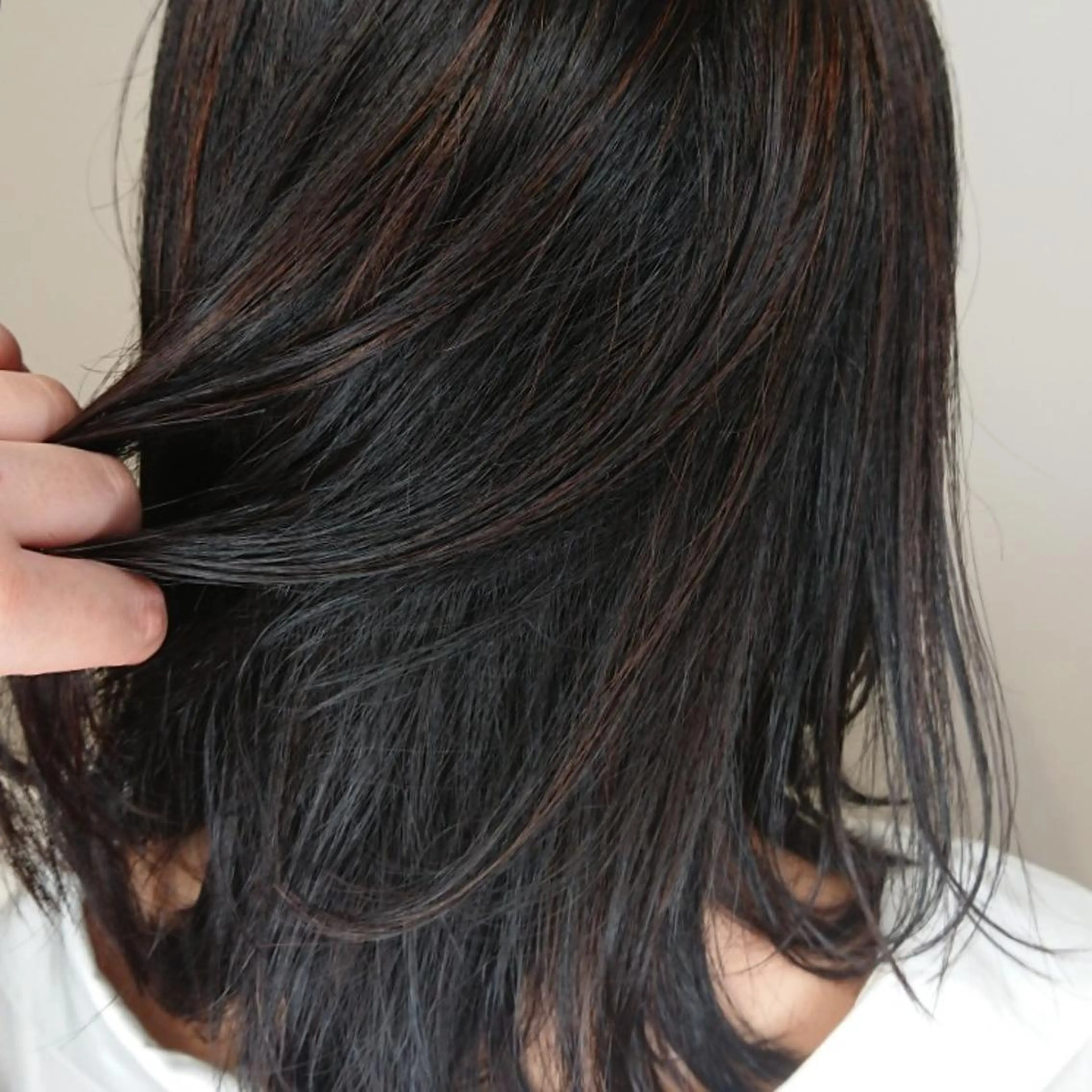 カラー ミディアム ヘアアレンジ ハイライトカラー ハイライト ヘアカラー トリートメント ブリーチ/ヘアケア/ 艶髪/イギチハルのヘアスタイル