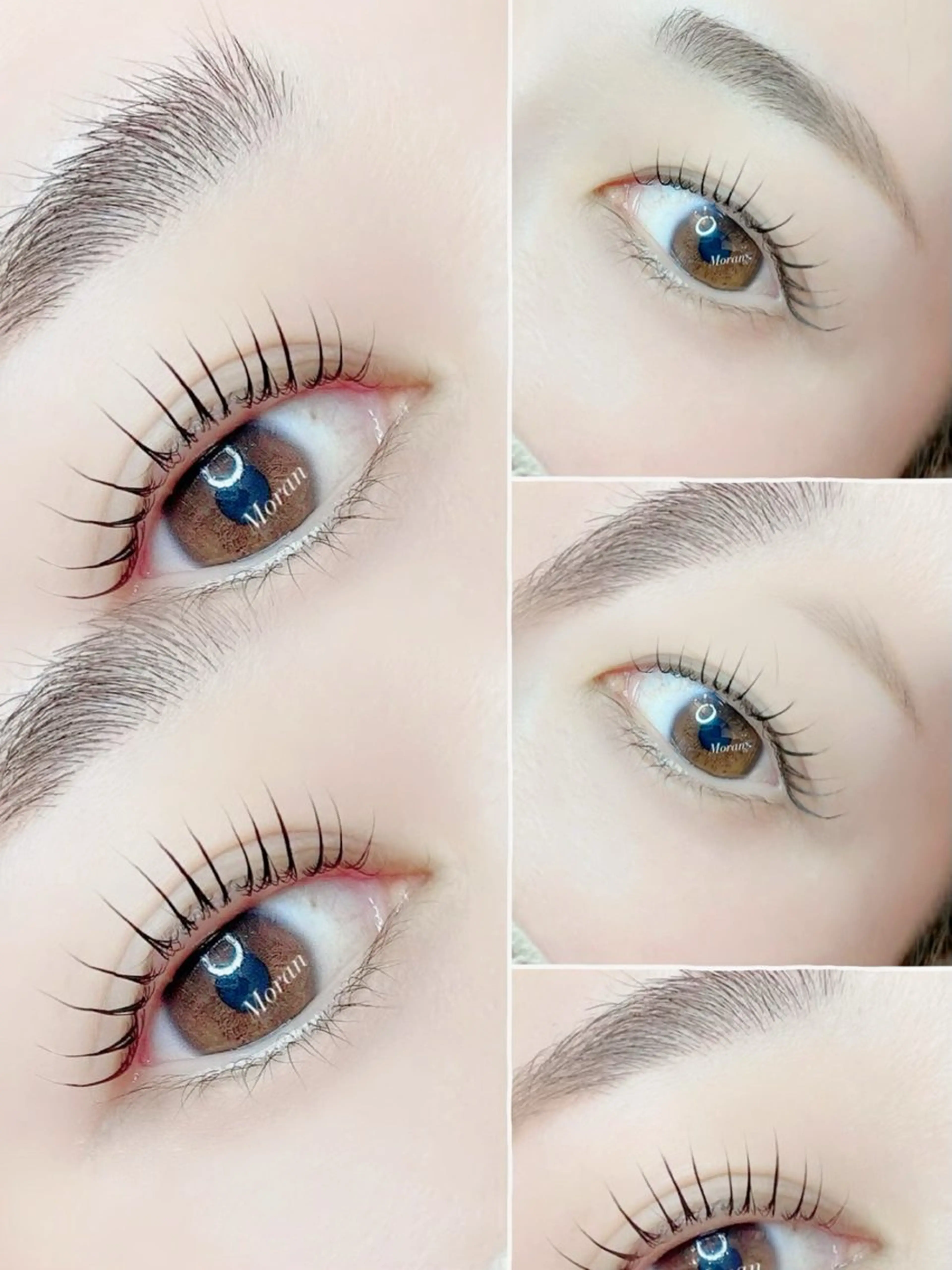 ご新規様🤍束感ラッシュリフト【アイシャンプー🫧&高濃度トリートメント付き】の写真