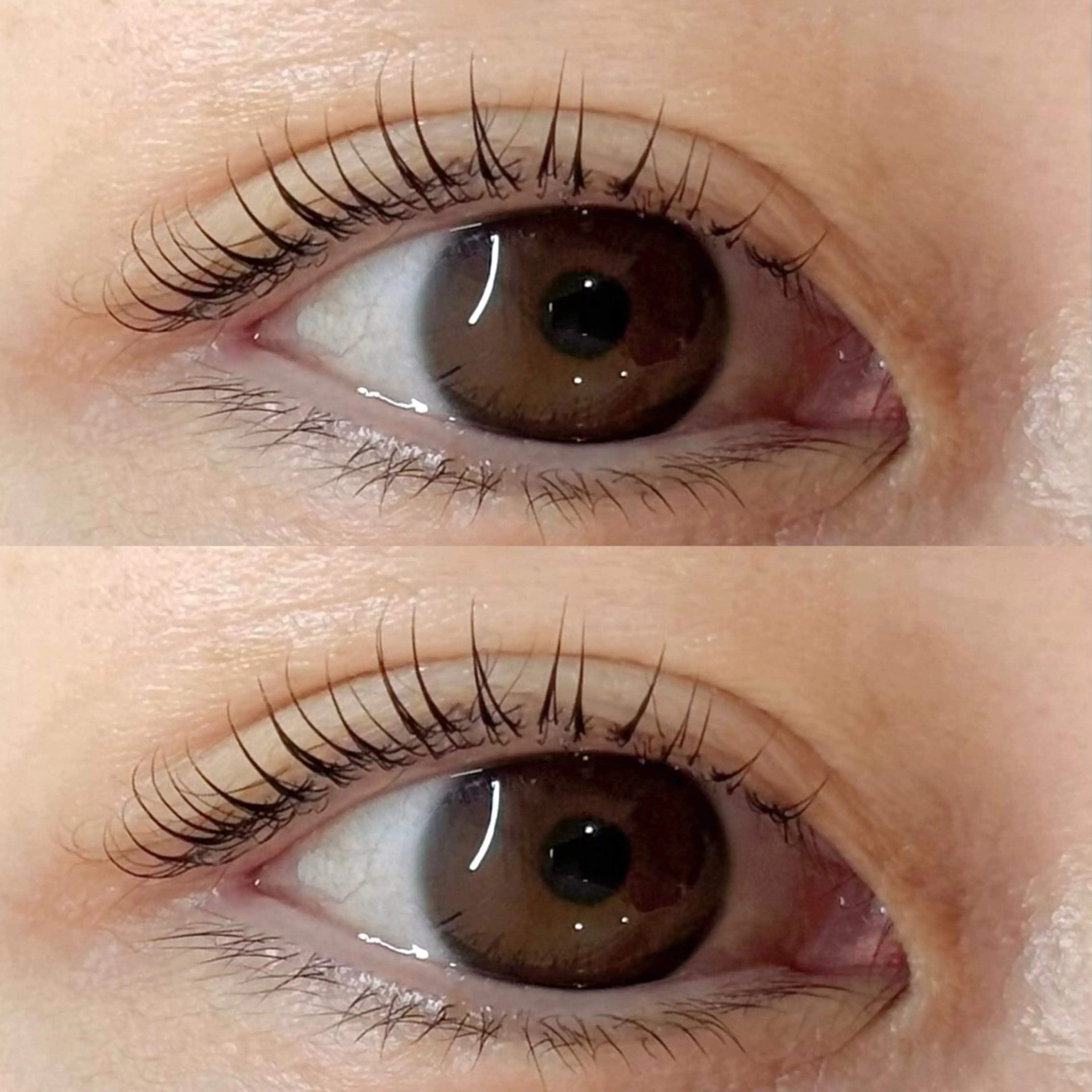 マツエク・マツパ MEME🐰 上本町/谷九のマツエク・マツパデザイン