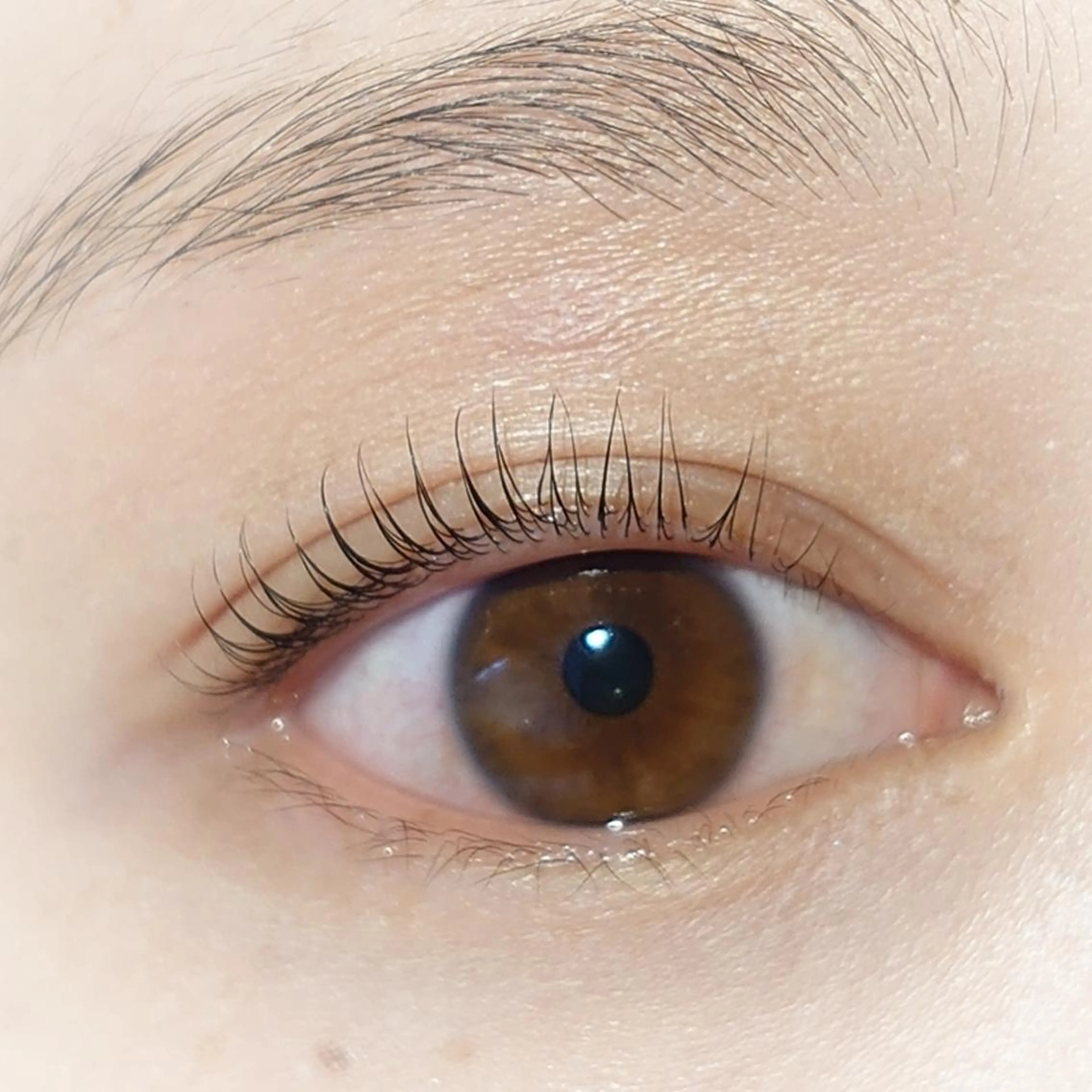 マツエク・マツパ まつげパーマ さ とうのマツエク・マツパデザイン