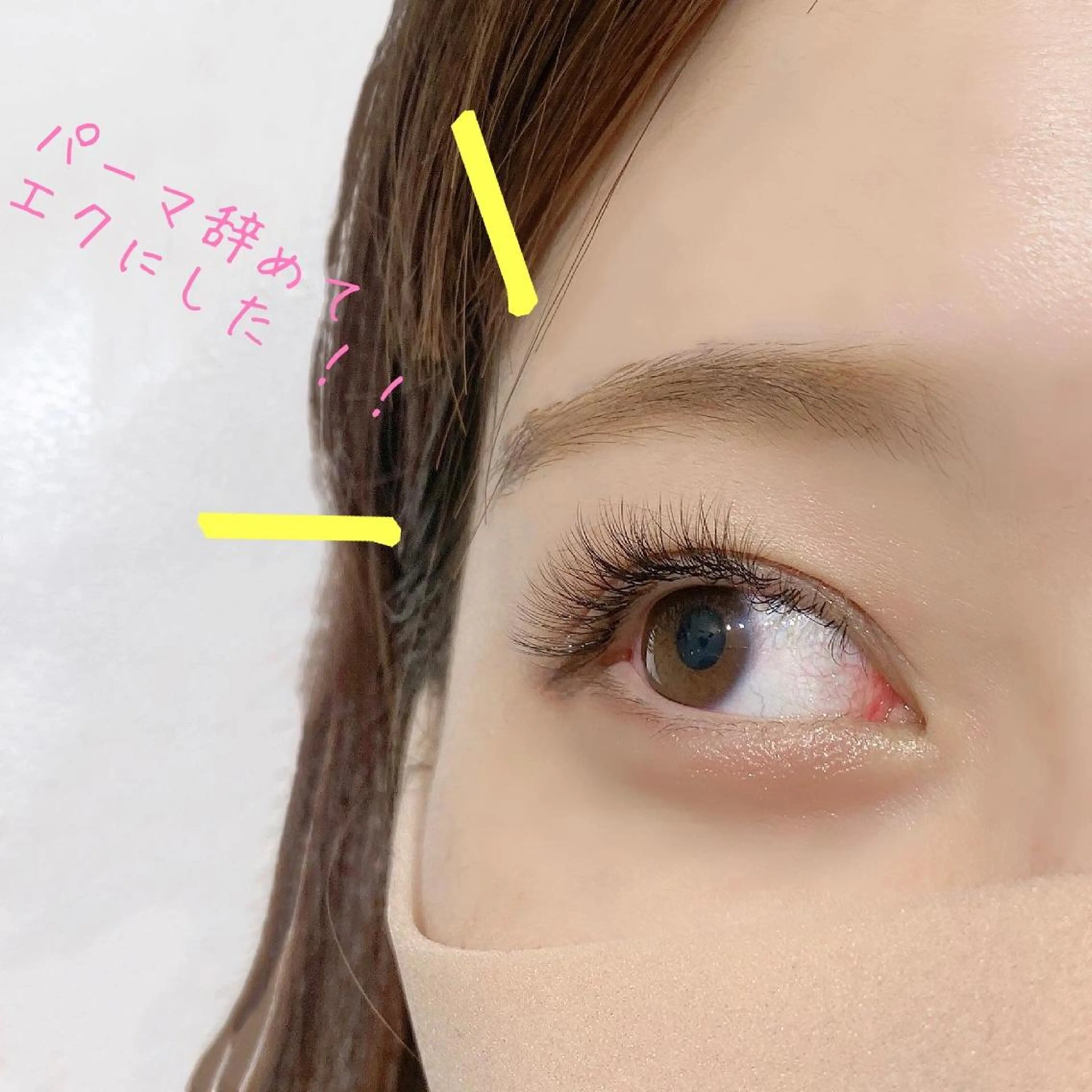 マツエク・マツパ まつげパーマ 束感パリジェンヌ上下 恵比寿ayakaのマツエク・マツパデザイン