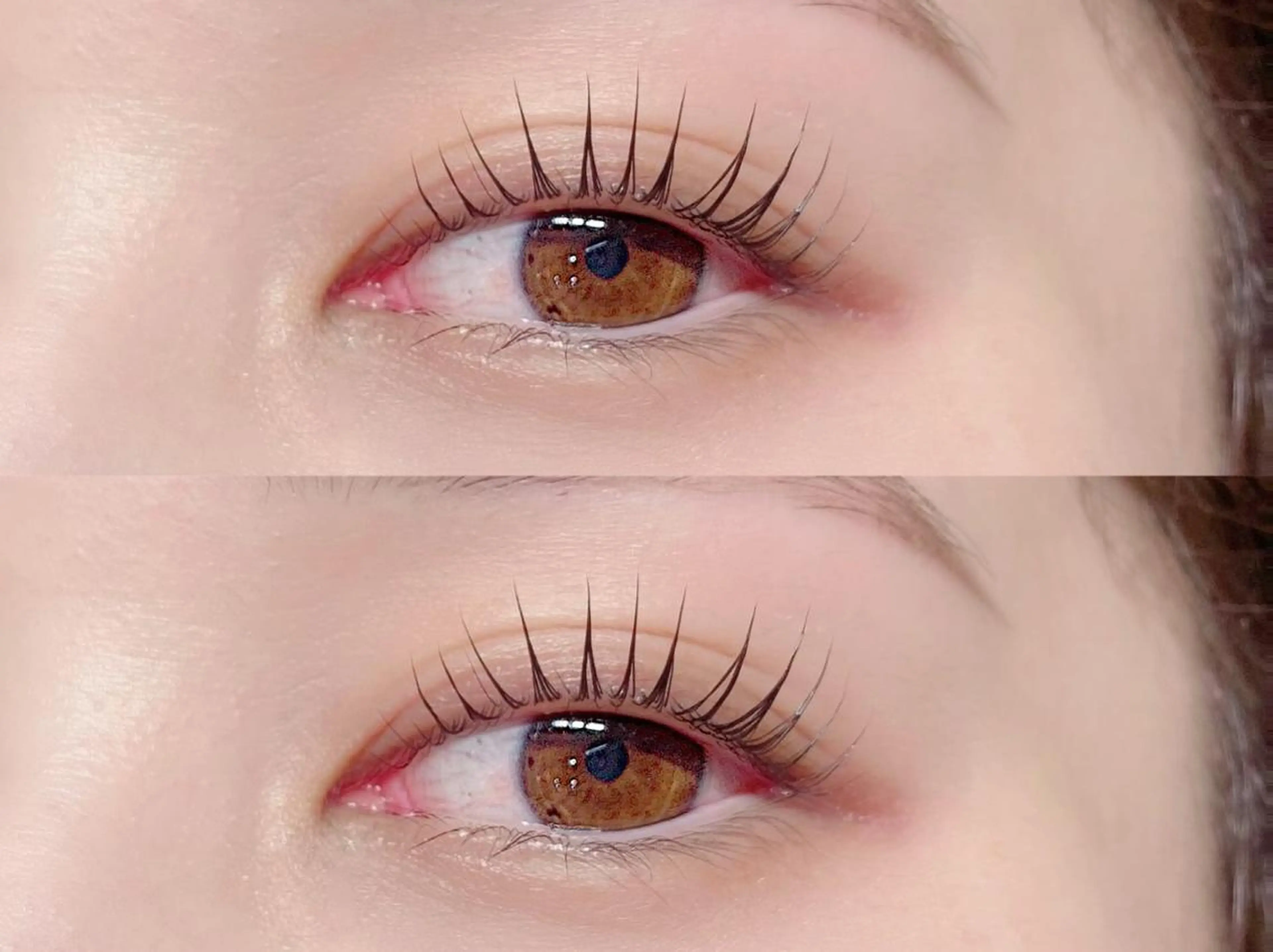 【まつ毛パーマorパリジェンヌラッシュリフト👀🫶】Jrアイリストクーポン🌱の写真