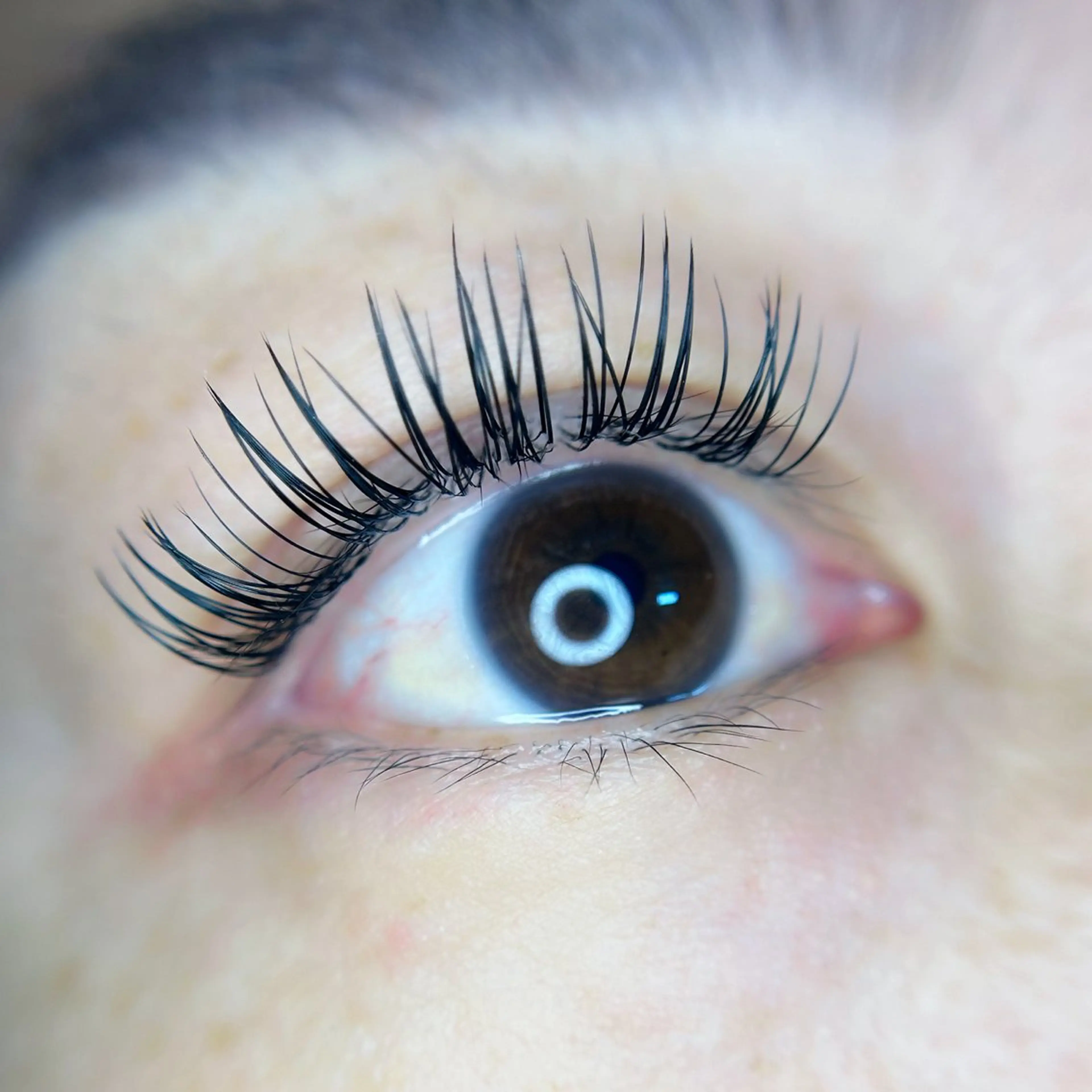 🌟ミニモ限定価格🌟フラットラッシュ120本🪼オフあり🪼オフ無料♡コーティング付きの写真