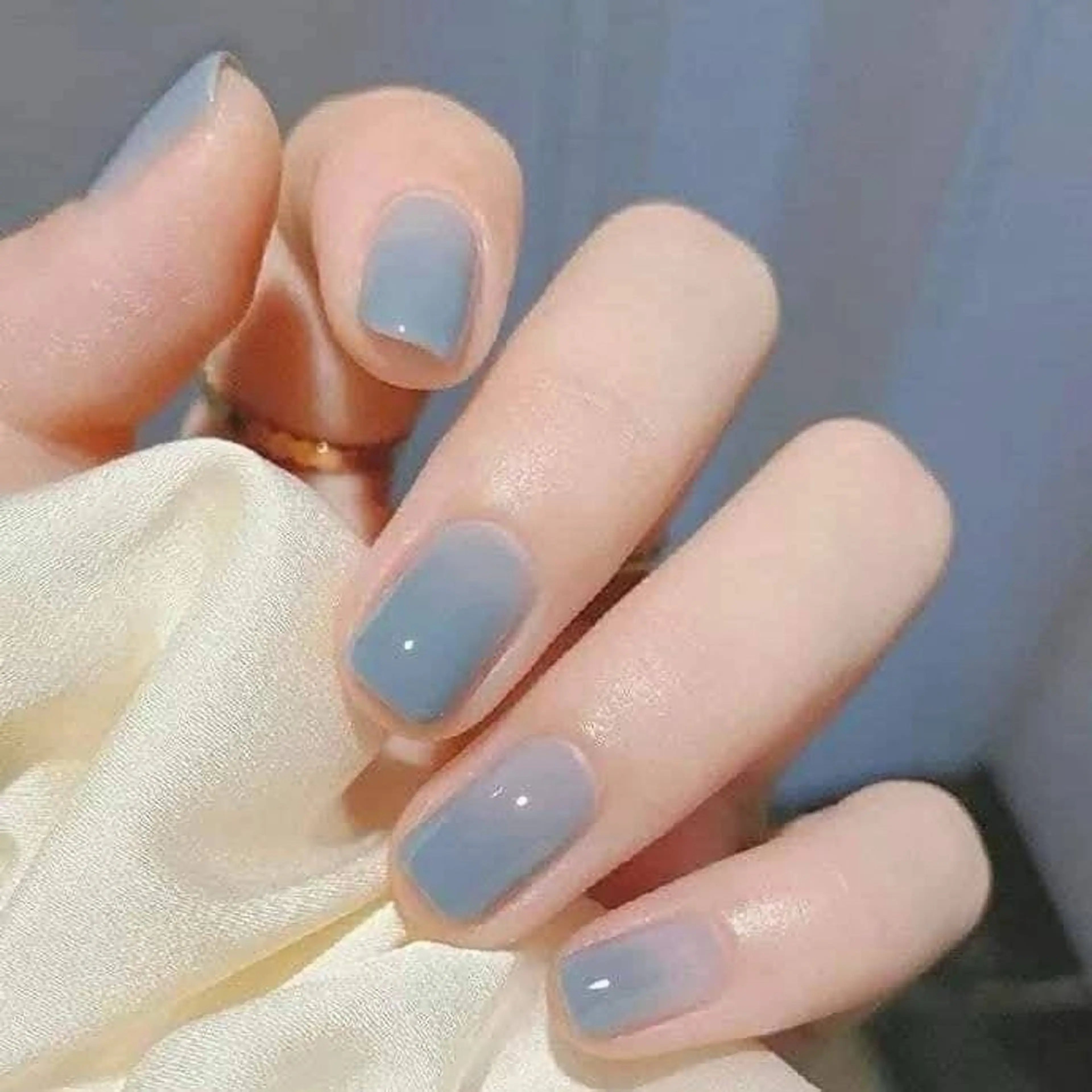 ネイル 韓国ネイル マグネットネイル ネイルチップ ワンホンネイル ANNA NAIL SALON所属・チャン ティ ジエンのネイルデザイン