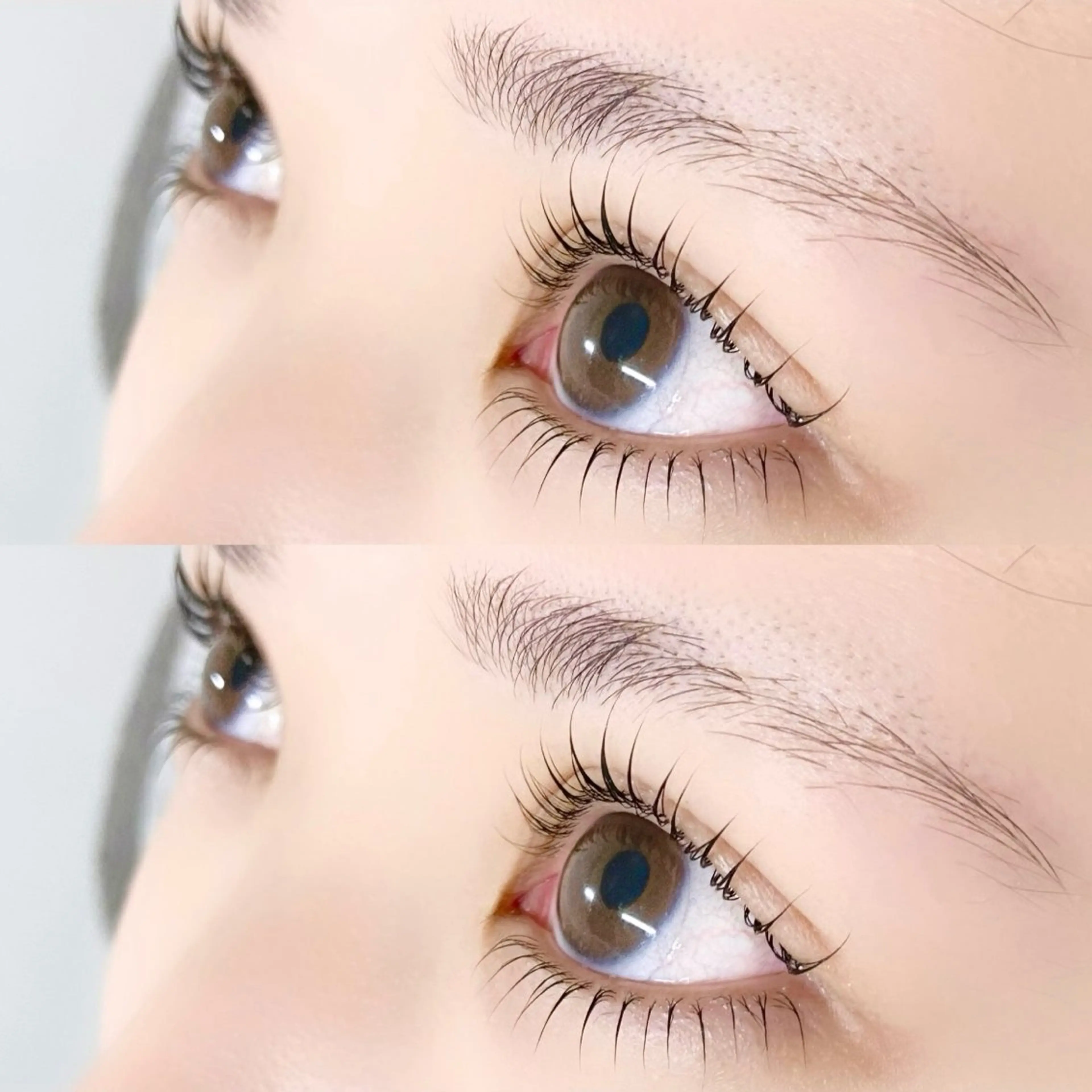 《上下》まつげパーマ🦦の写真