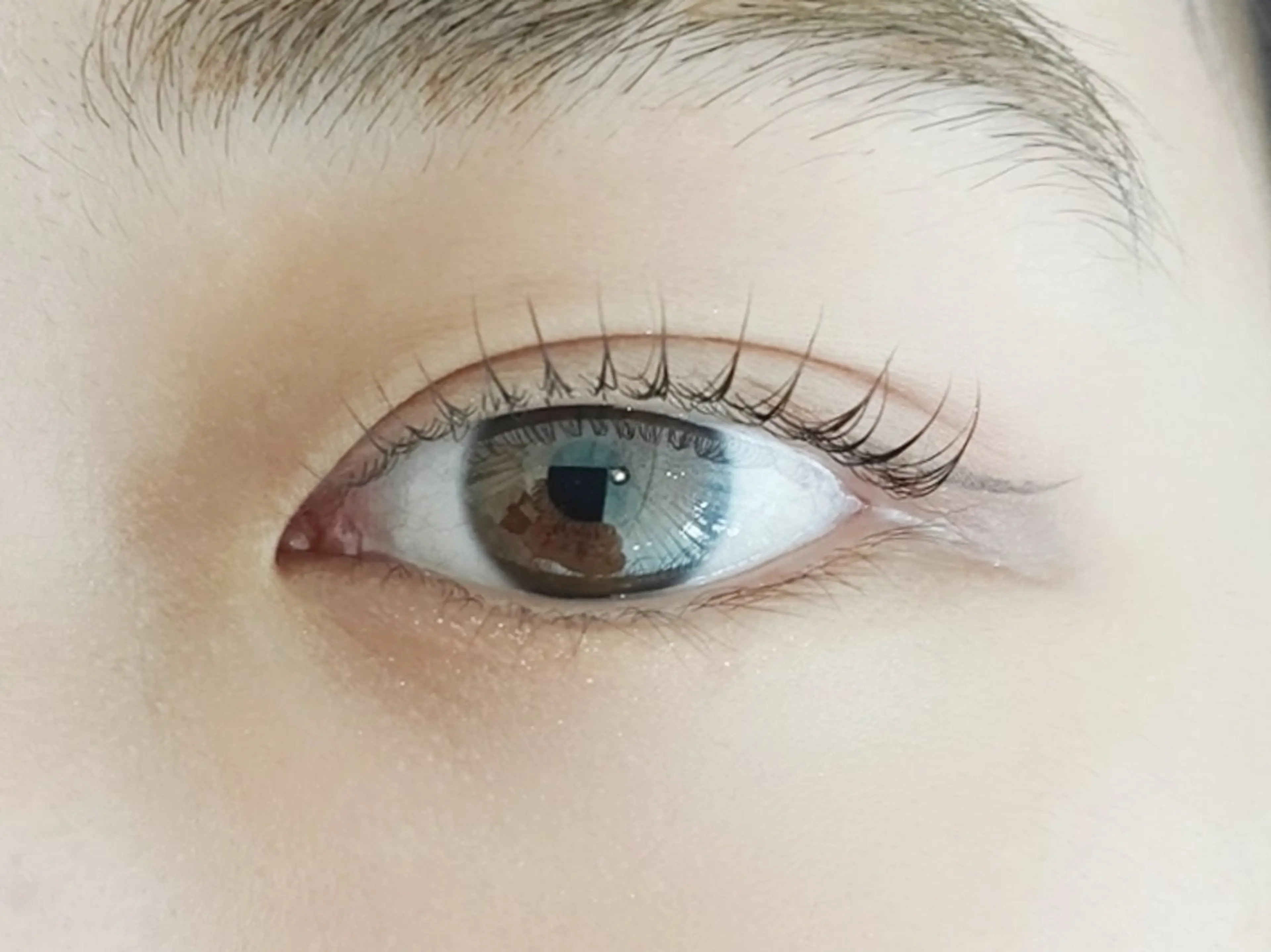 【ミニモ学割】まつ毛パーマ&眉カット✂(18才未満の方は保護者同伴でご来店下さい)の写真