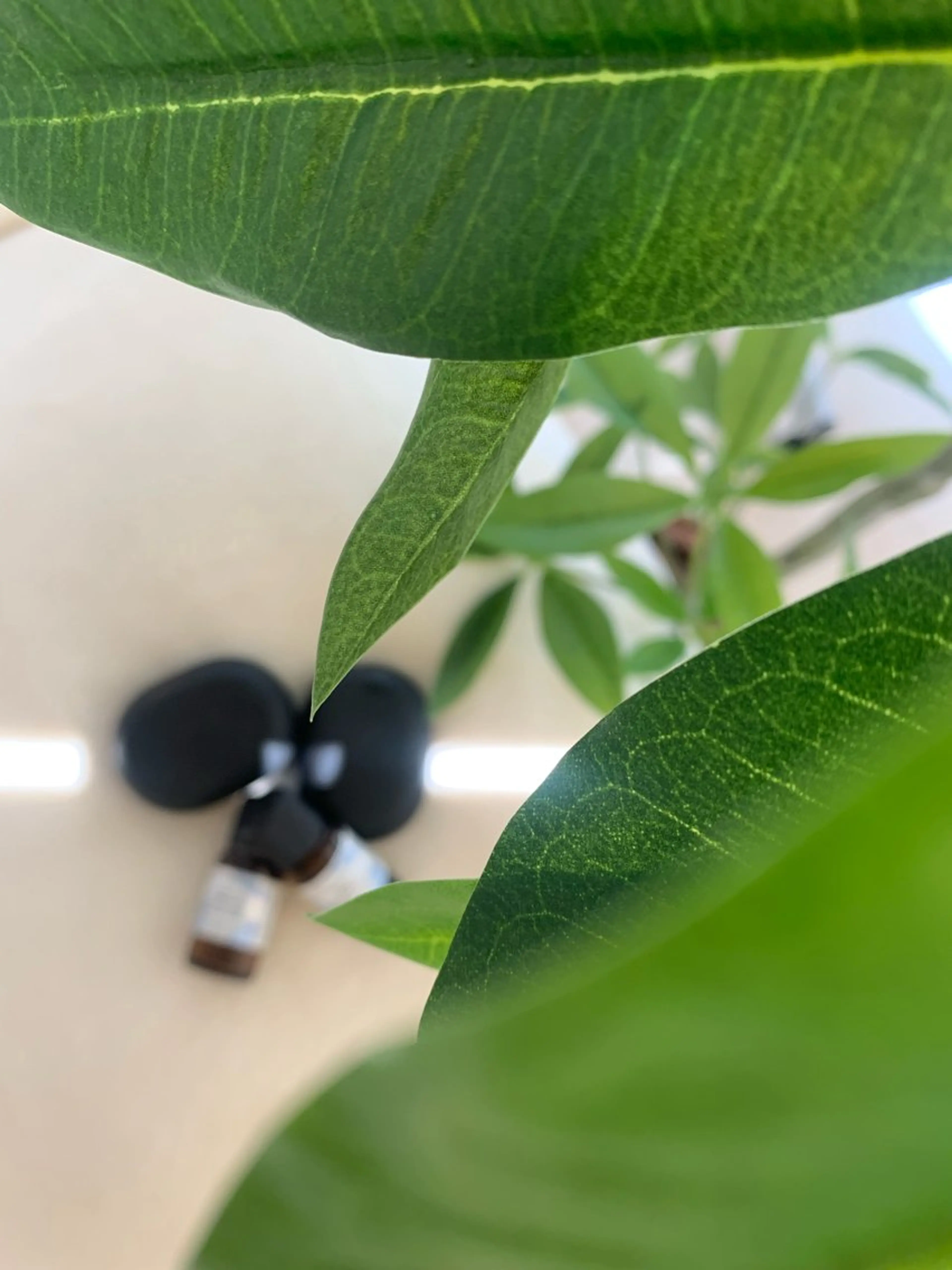 小顔&デコルテ Spa　“koti”のエステ・リラクイメージ