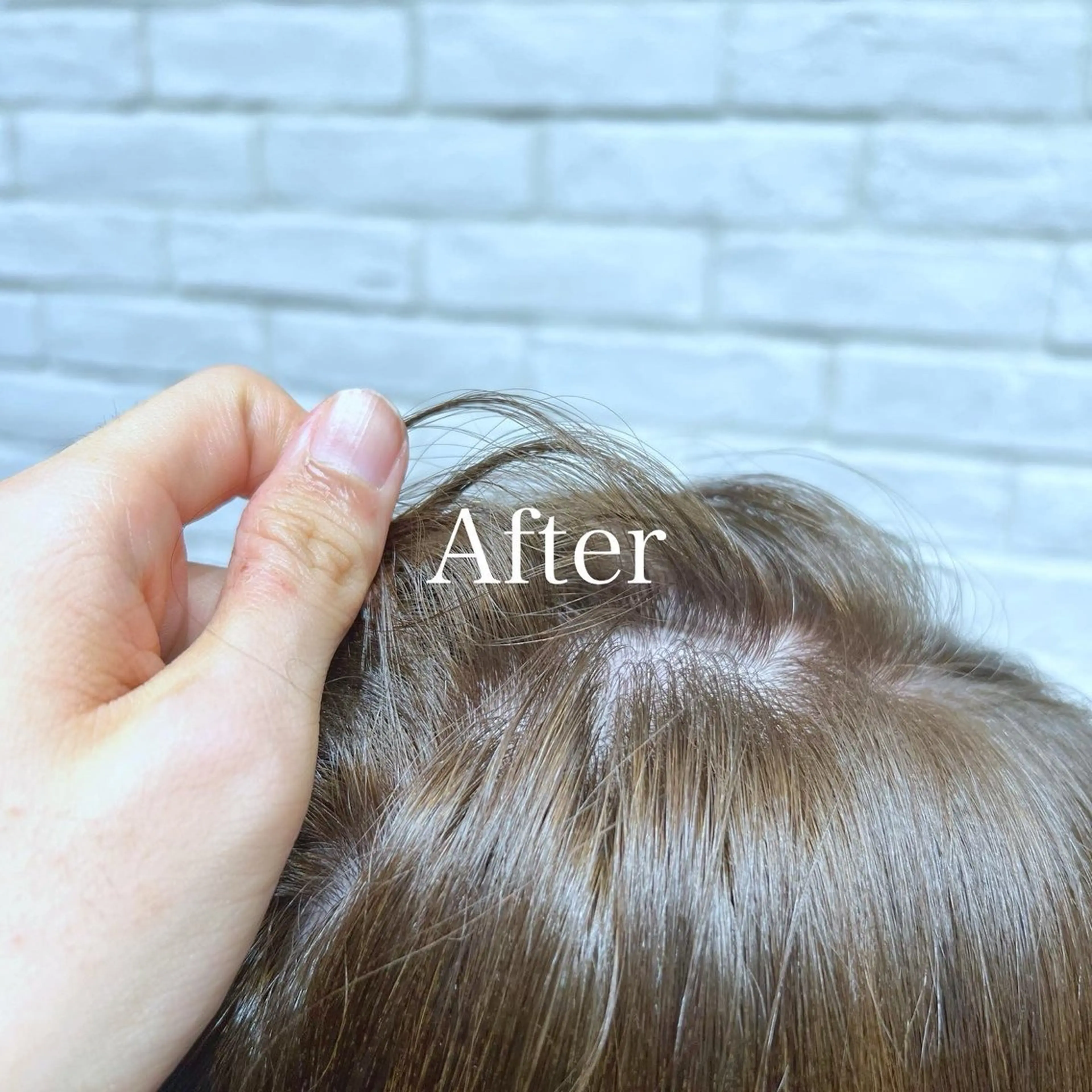 ミディアム カラー レディースヘア💫 加藤たいが🐯のヘアスタイル