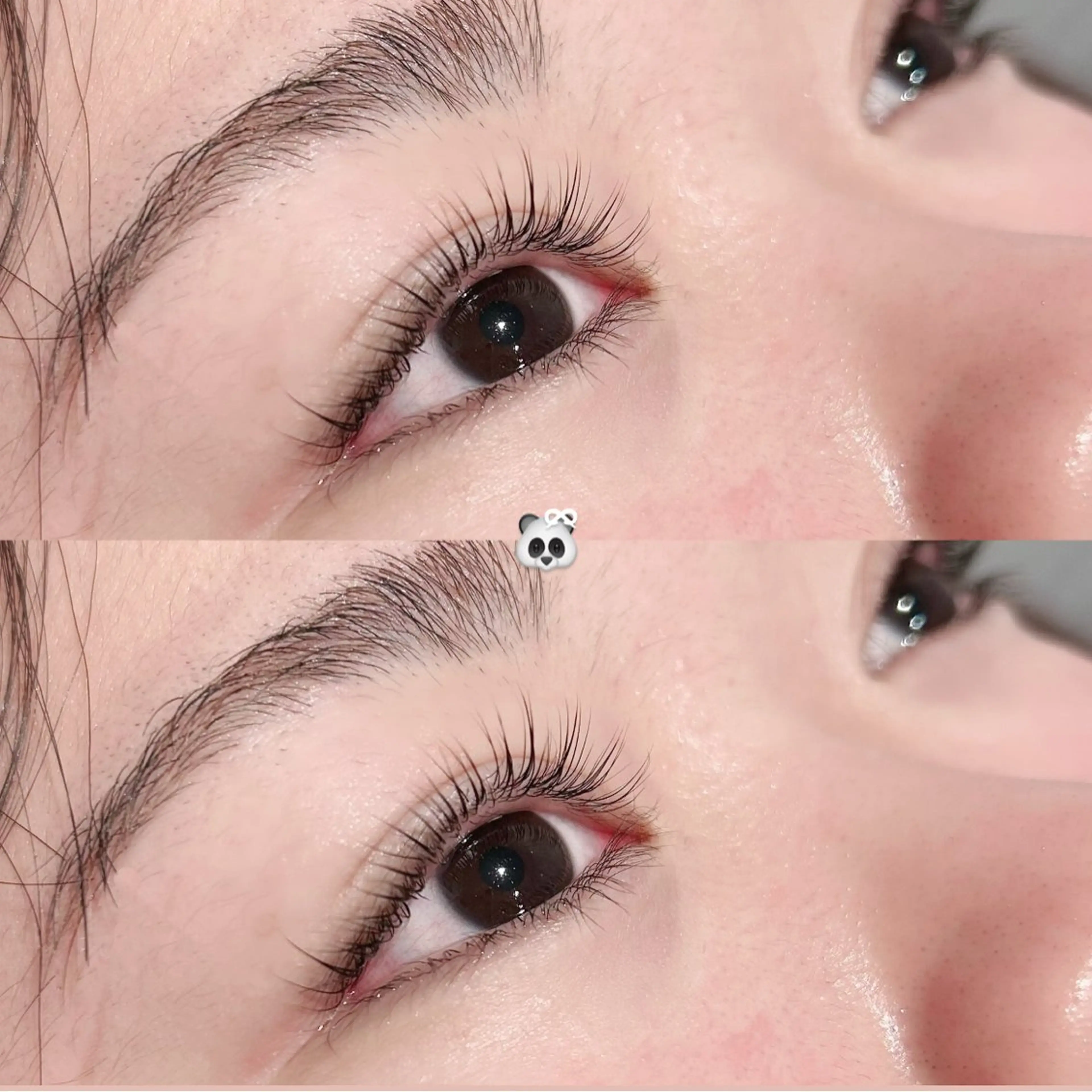 マツエク・マツパ diar blue 辻堂/Rinokaの眉毛・アイブロウイメージ