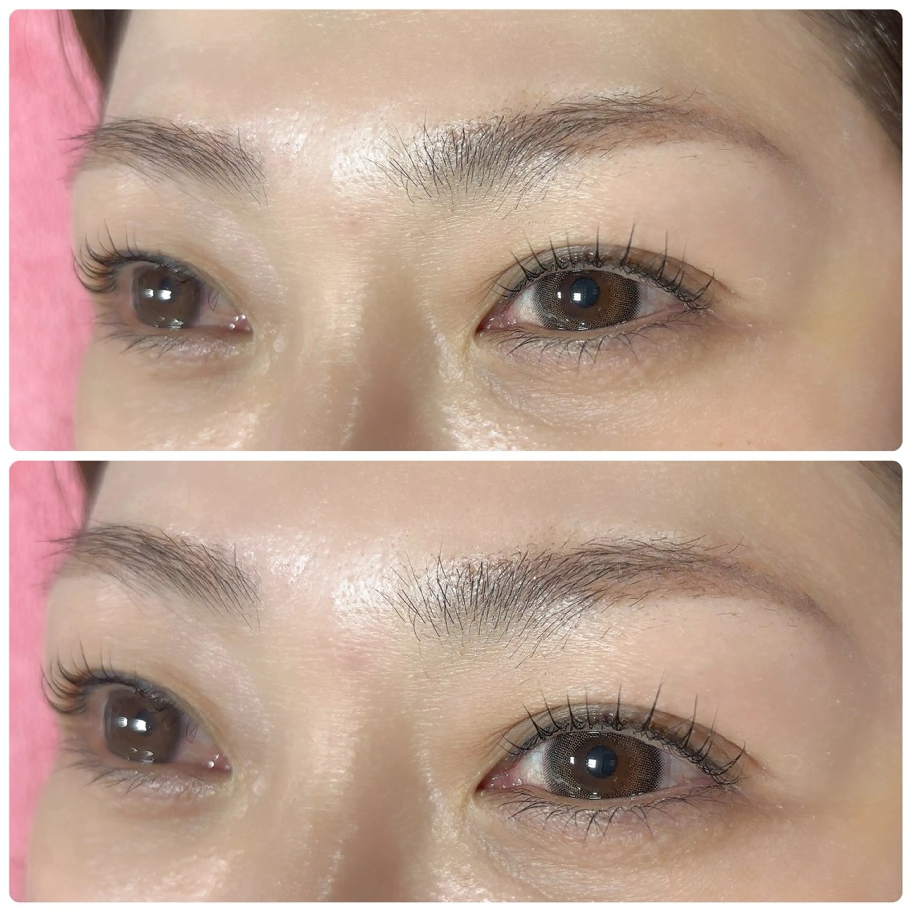 🍇モンテラッシュリフト（まつ毛補修トリートメント付き）の写真