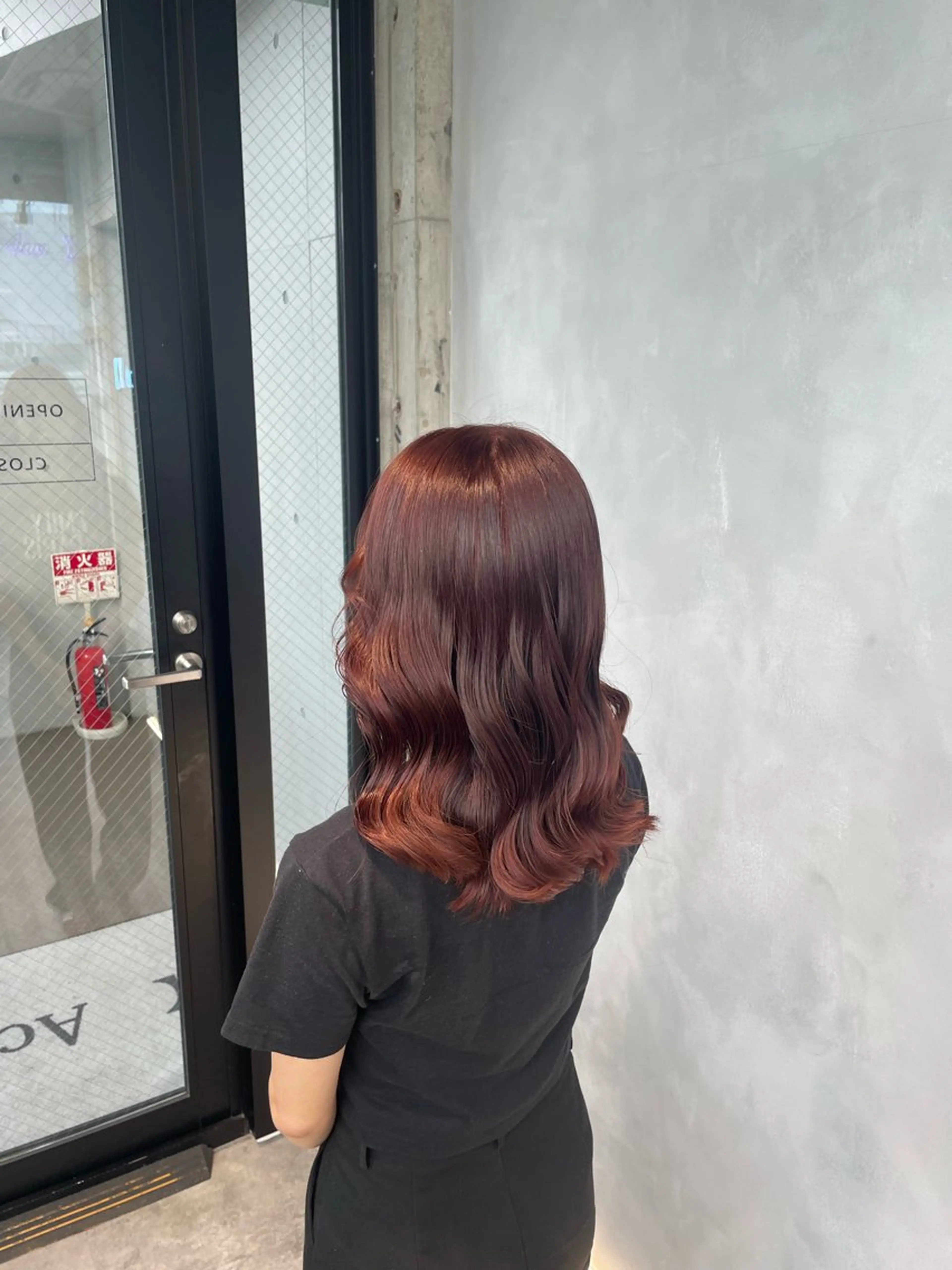 ロング カラー レッドカラー 暖色/ハイトーン/ カラー/HBLのヘアスタイル