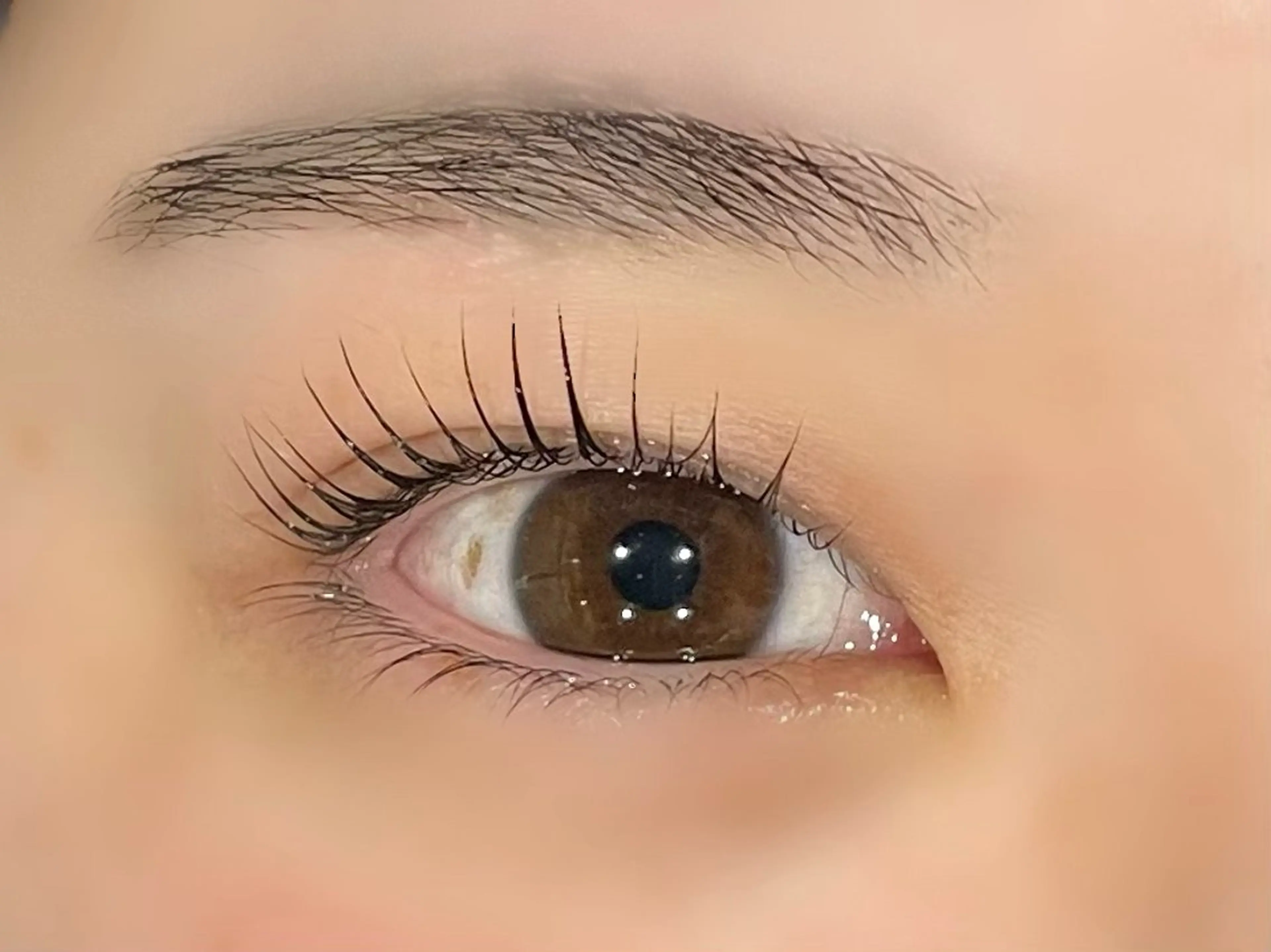 マツエク・マツパ マツパ ダリアビューティー所属・LEDエクステ🫧 ダリアビューティーの眉毛・アイブロウイメージ