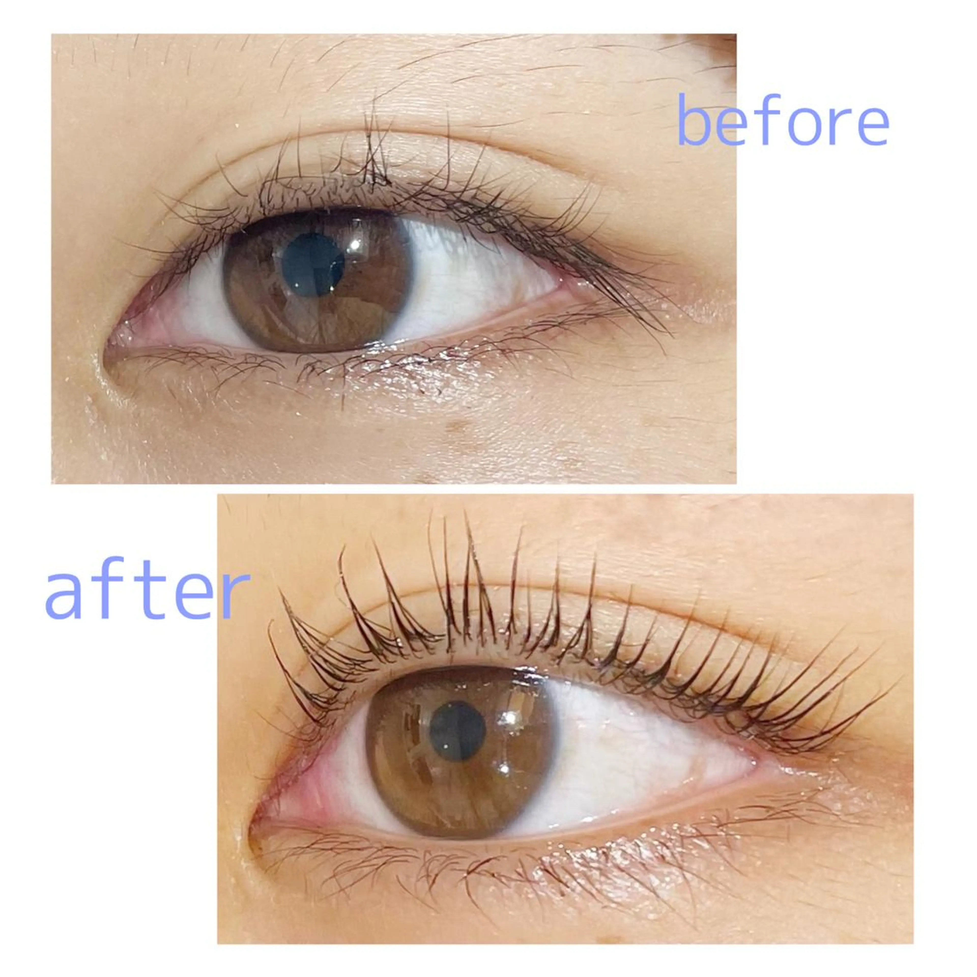 ケラチンラッシュリフト💛タンパク質たっぷりのトリートメント付きでお得♪の写真