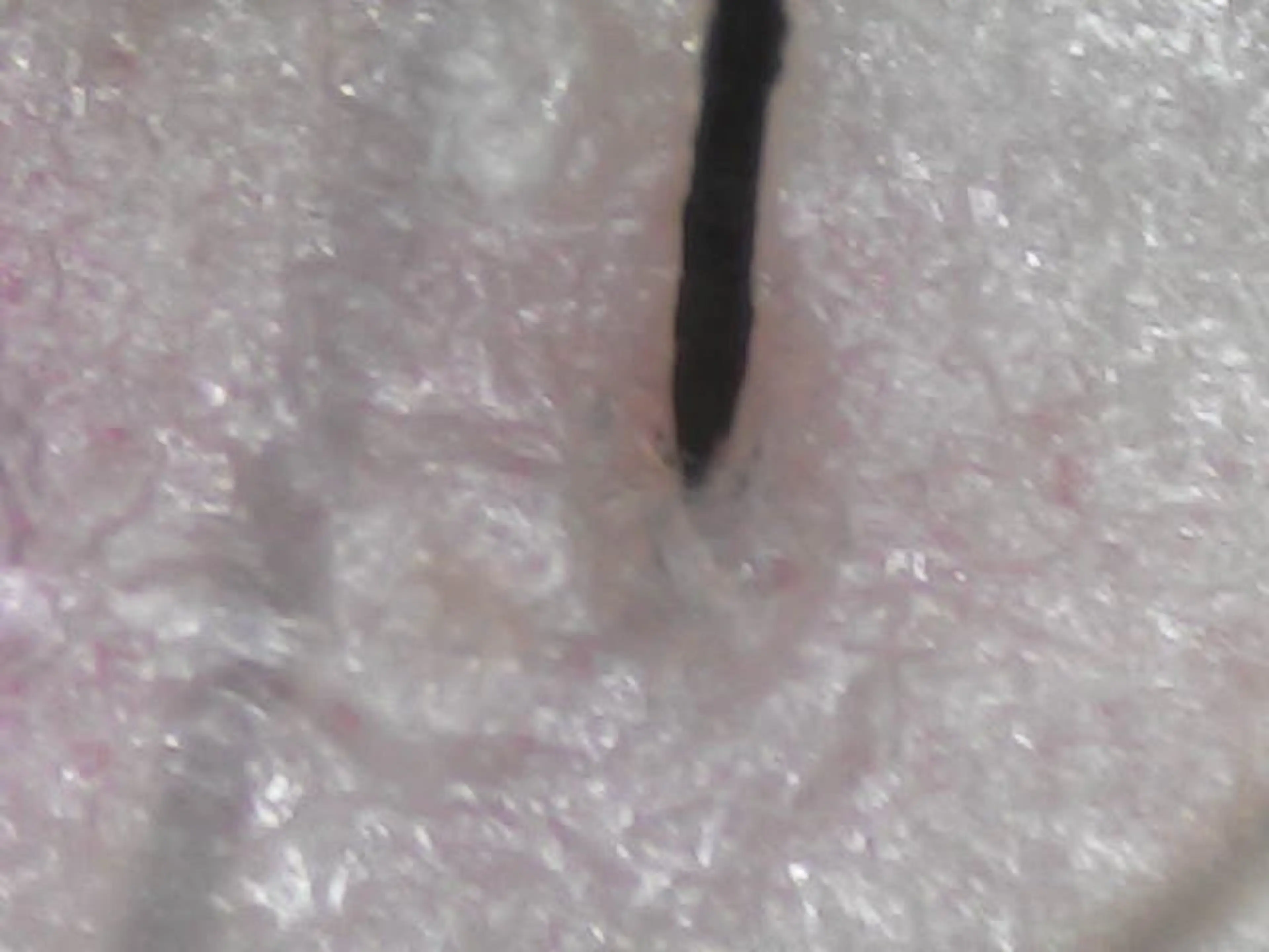 salowin 郡山店所属・中畑 莉菜のヘアスタイル