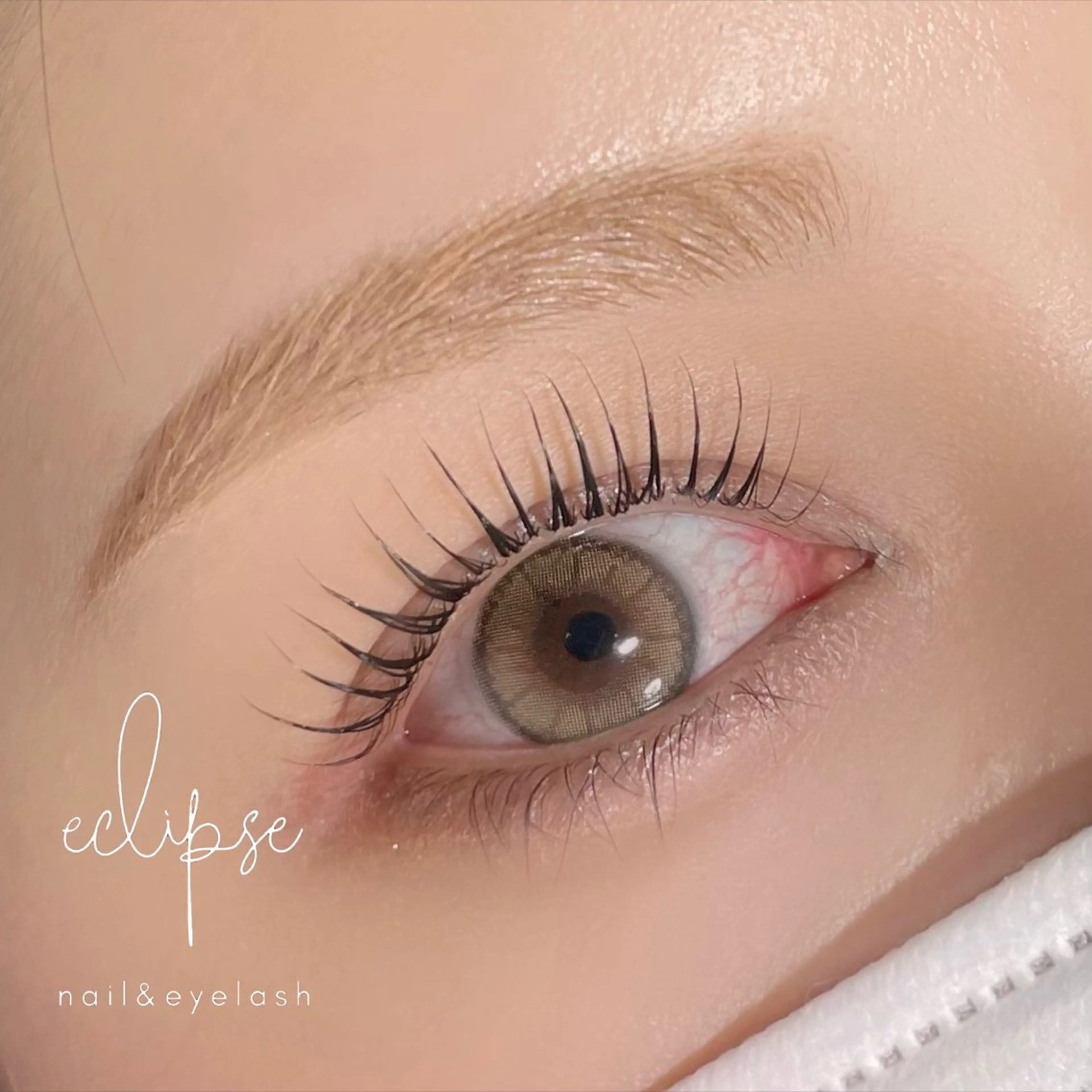 マツエク・マツパ マツパ eclipse eyelashのマツエク・マツパデザイン