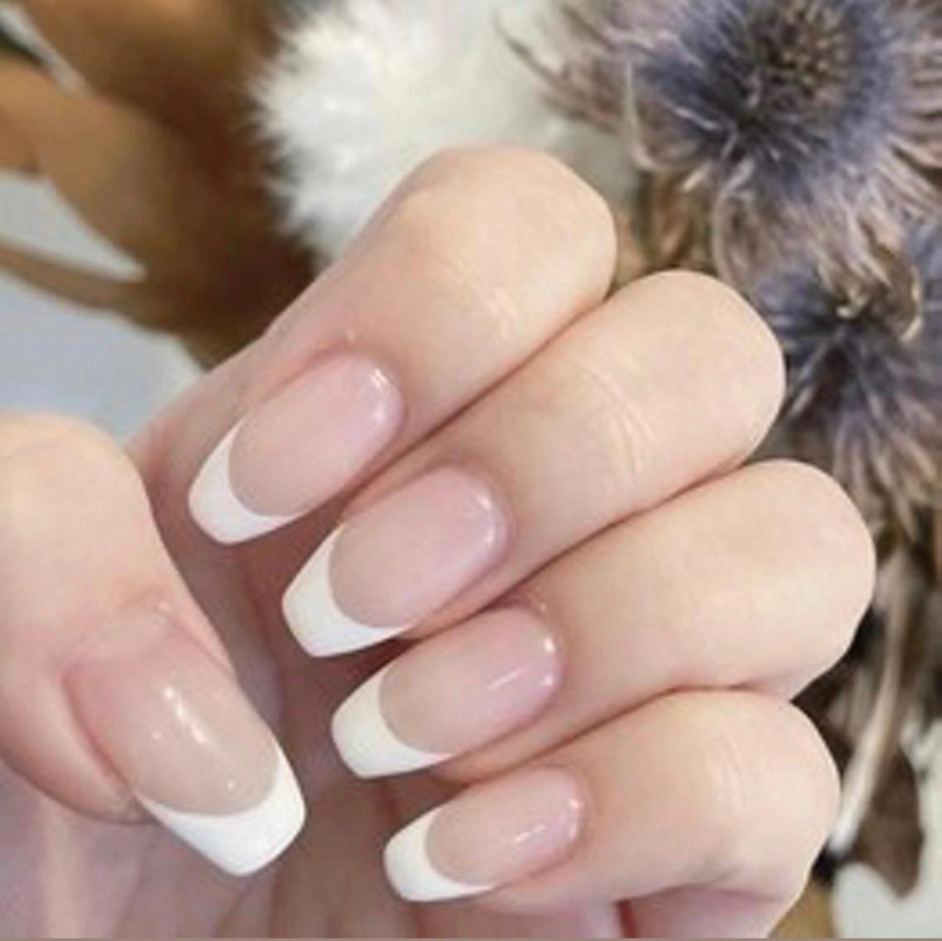 オフあり⭐︎フレンチネイル💅の写真