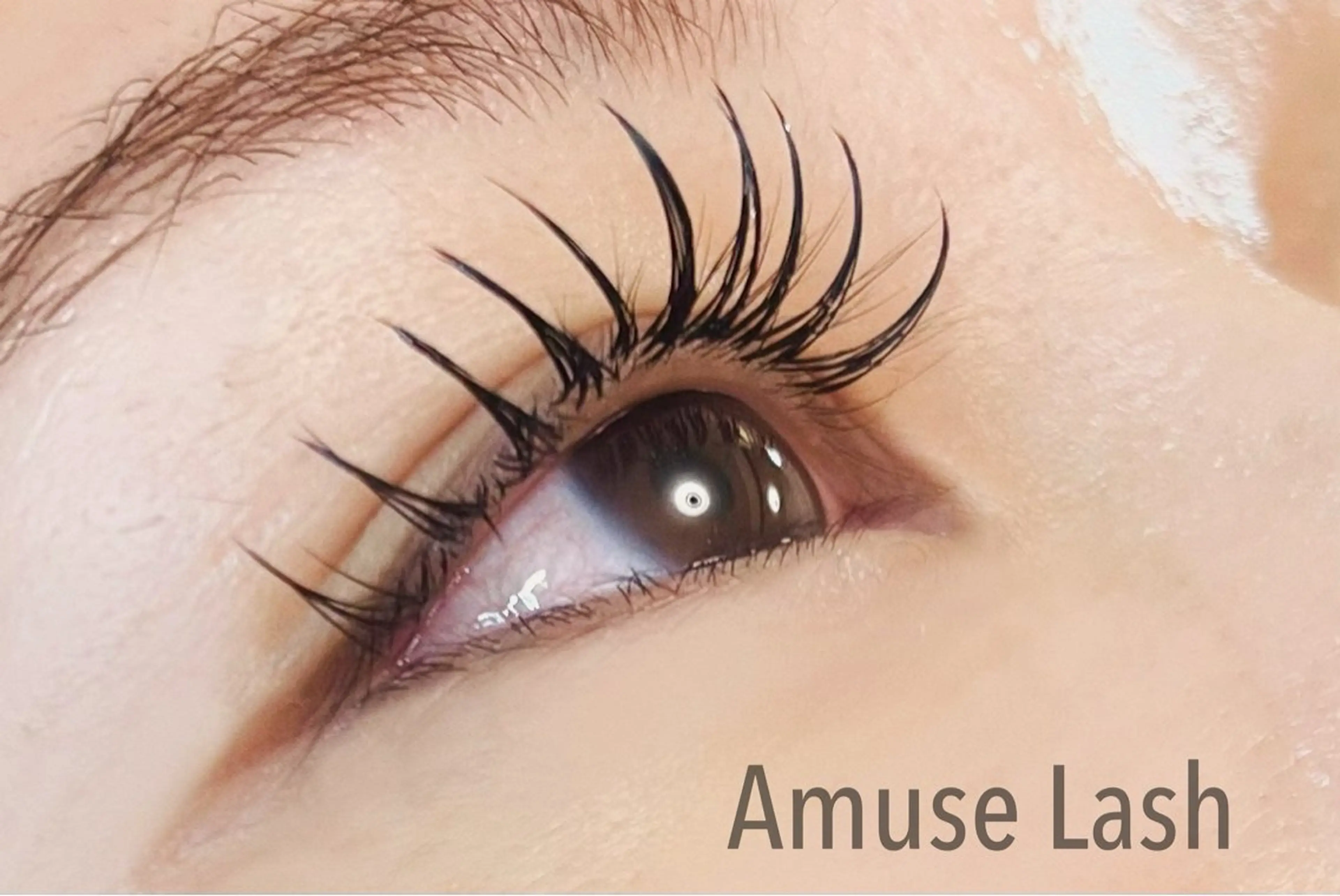 フラットラッシュ 100本の写真