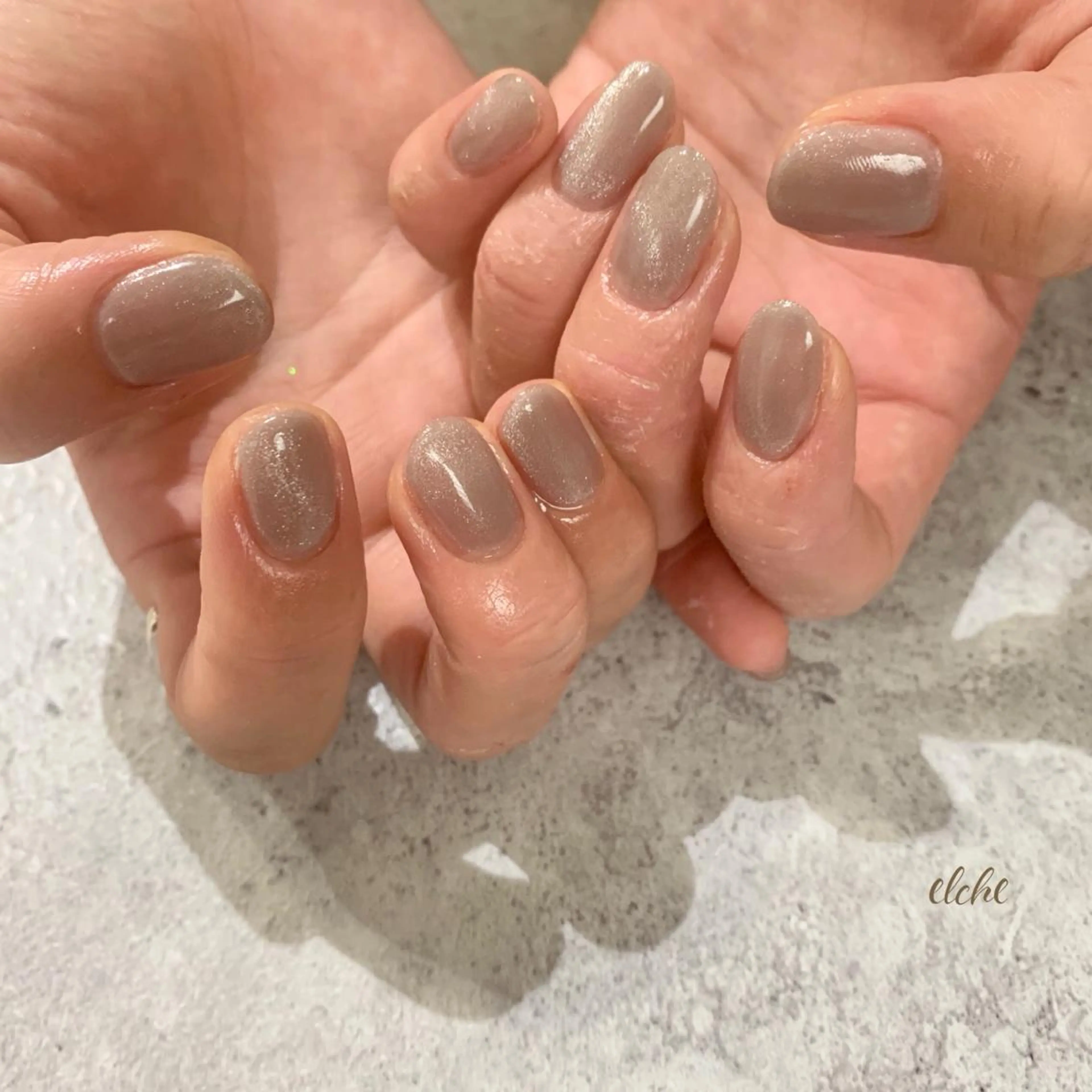 ネイル マグネットネイル Rio 𓍼のネイルデザイン