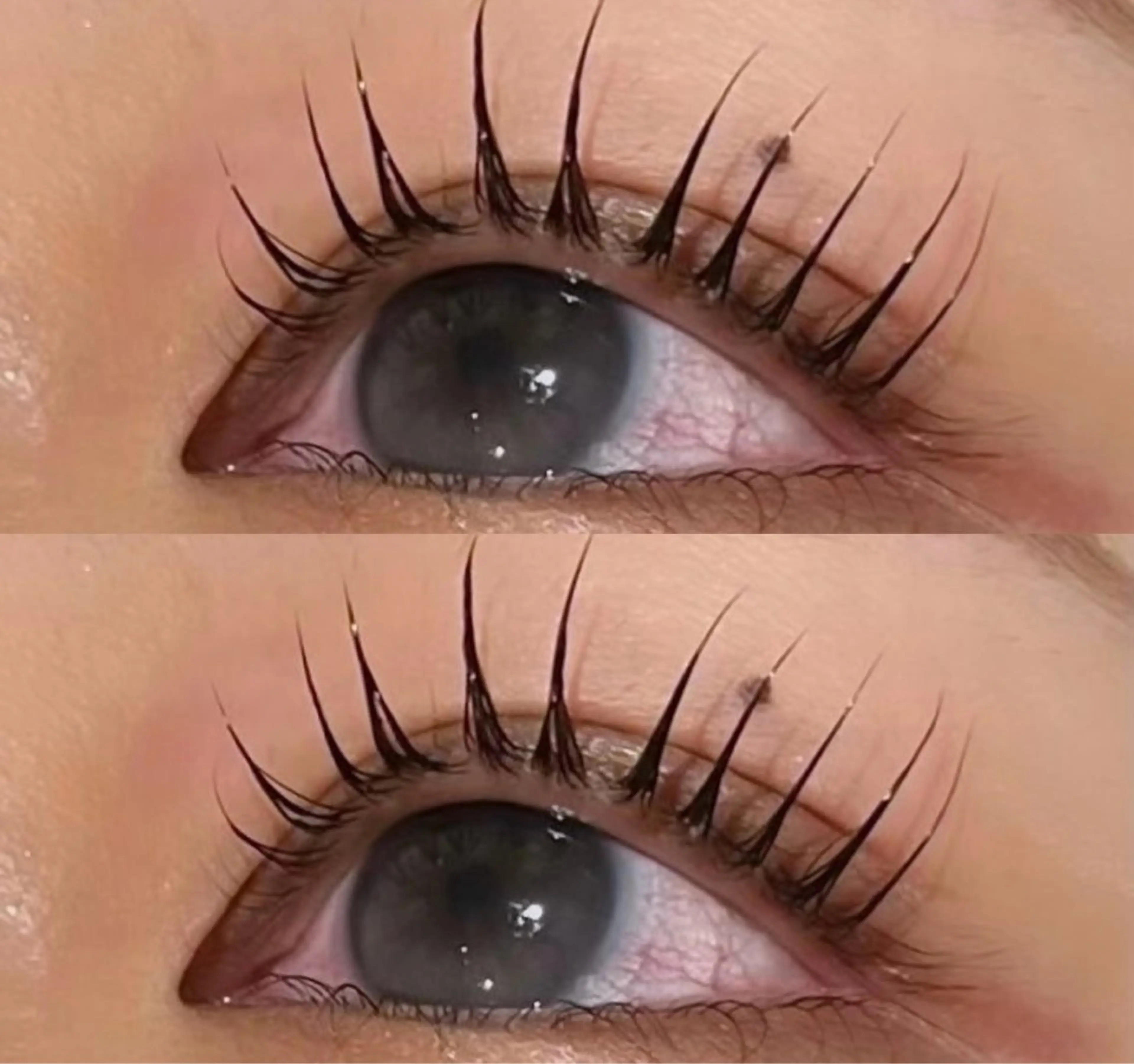 マツエク・マツパ パリジェンヌラッシュリフト eve🐰束間まつ毛 /透明感カラーのヘアスタイル