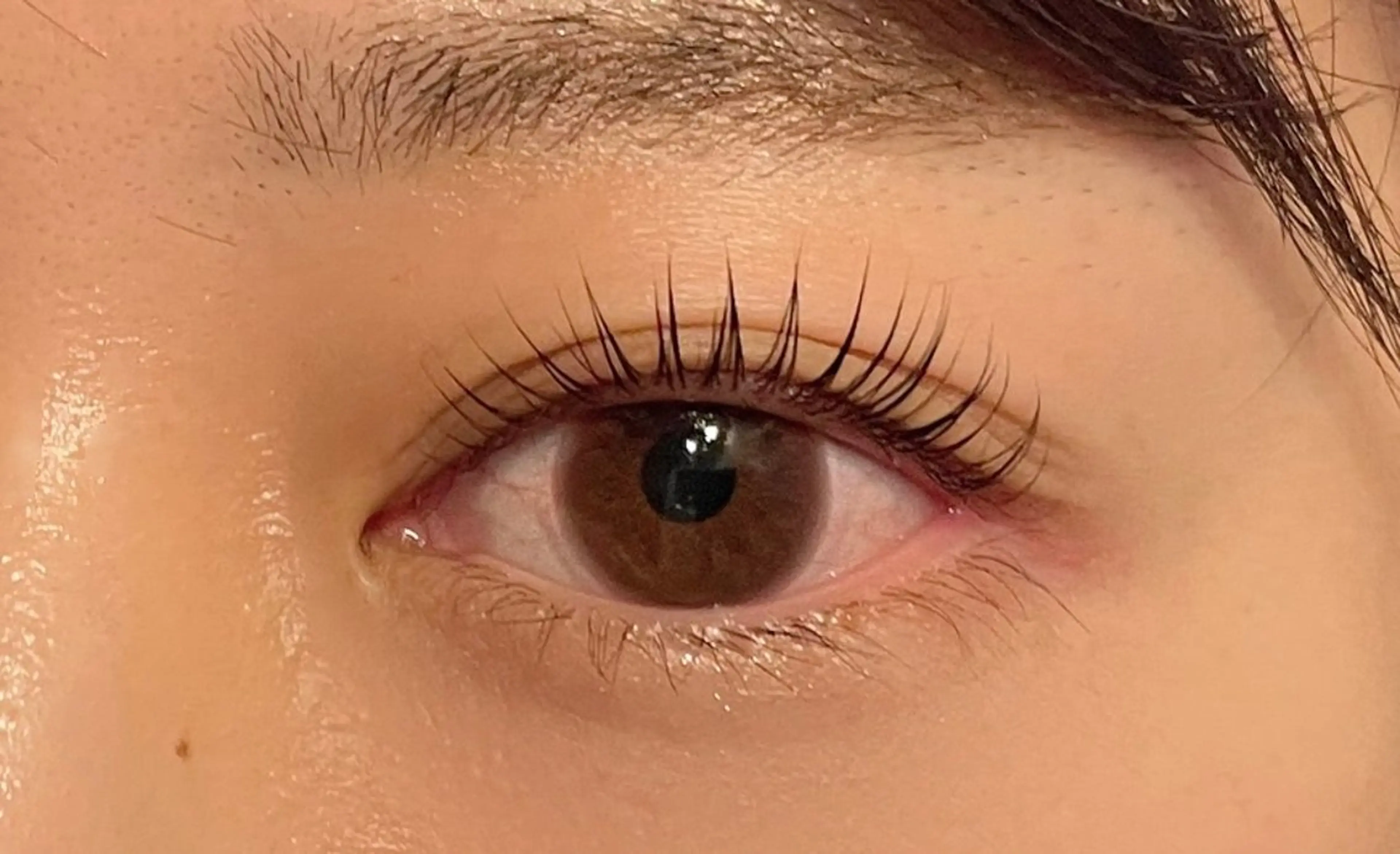 マツエク・マツパ まつ毛パーマ専門店 carrefour Noa 新松戸店所属・碓井 美紅のマツエク・マツパデザイン