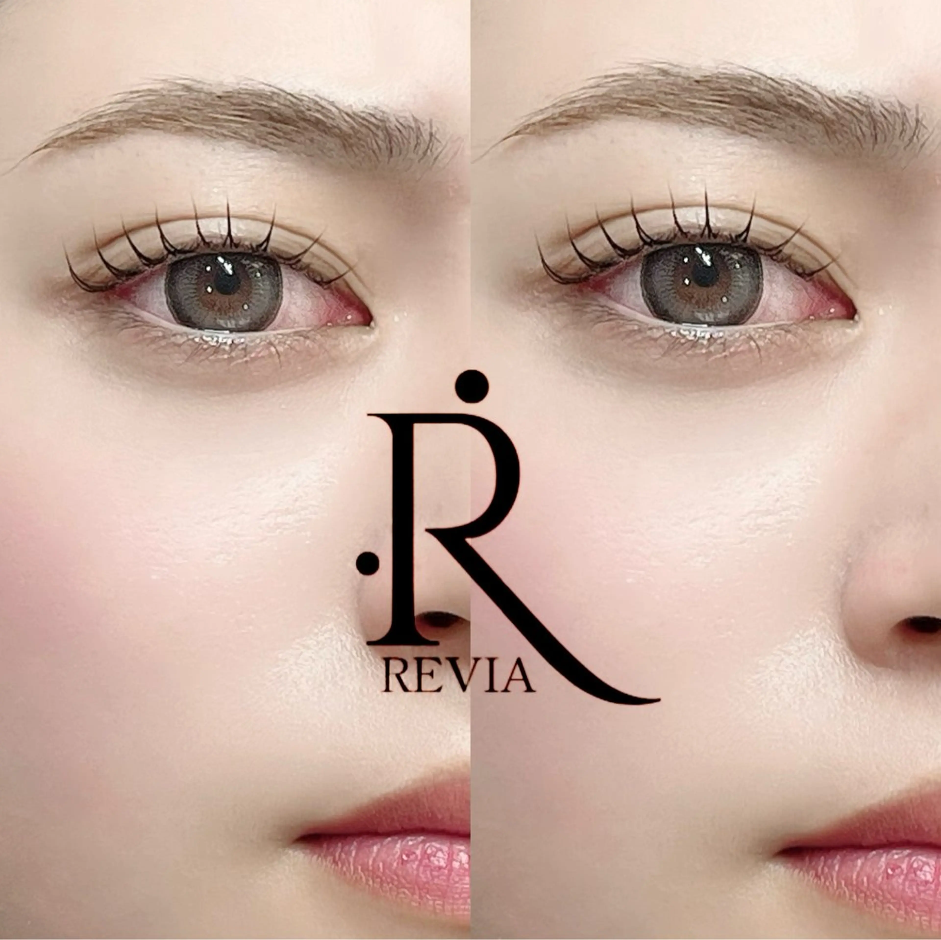 【12月限定】🤎まつ毛パーマ&ハリウッドブロウリフト🤎の写真