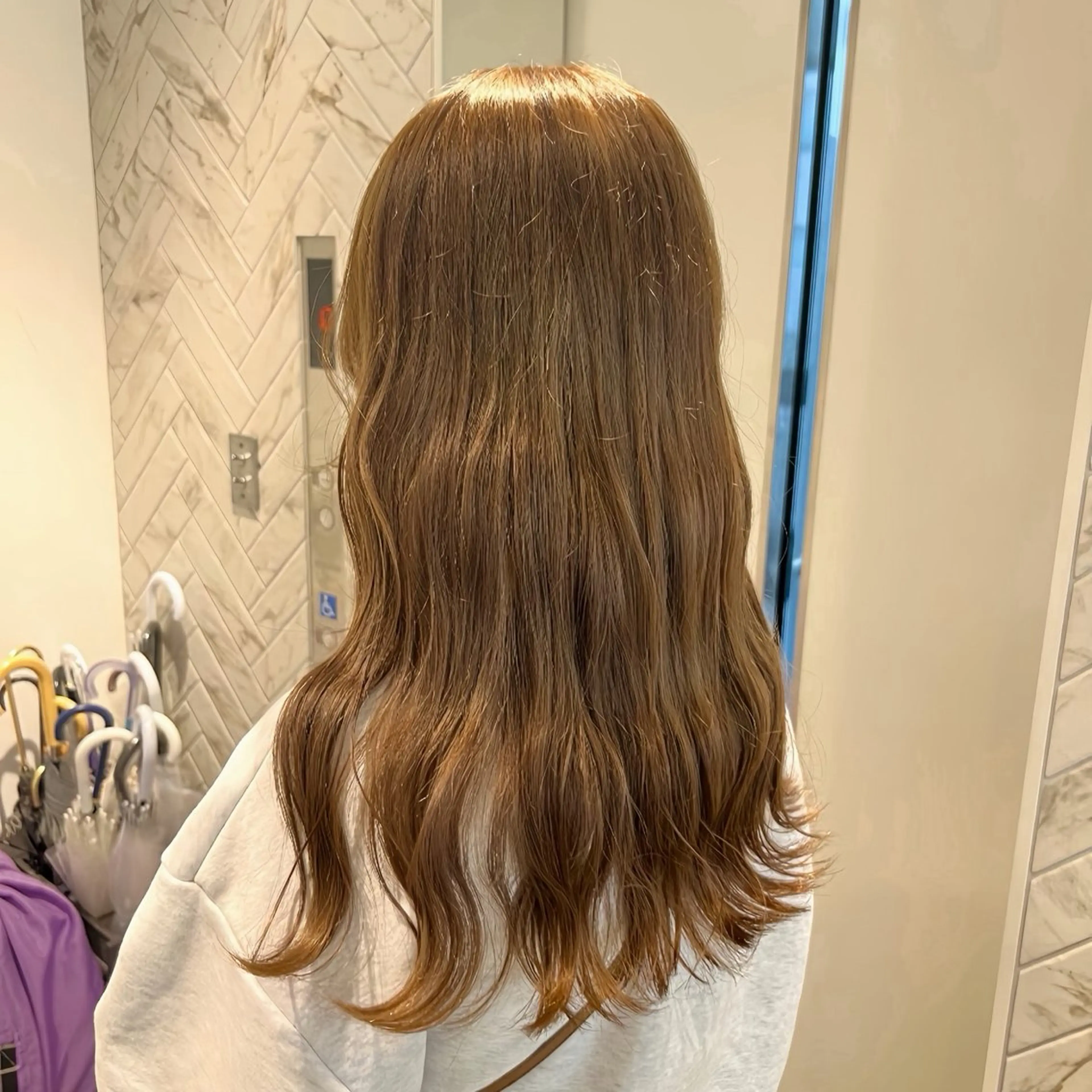 ロング カラー カット ヘアカラー EIGHT　樹梨 ／韓国ヘア🩶のヘアスタイル