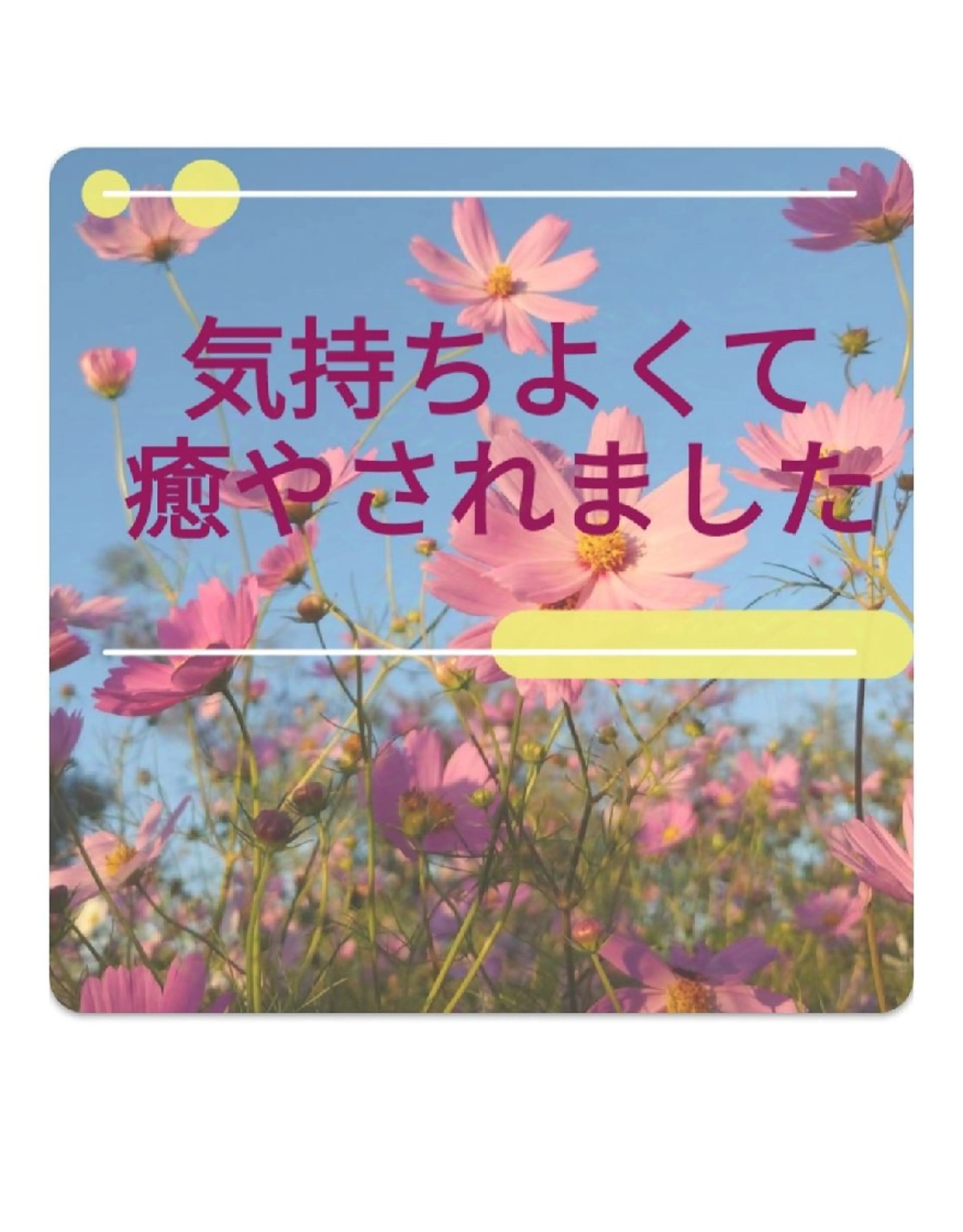 リラックスボディケア45分＆気分も上がるまつげカールの写真