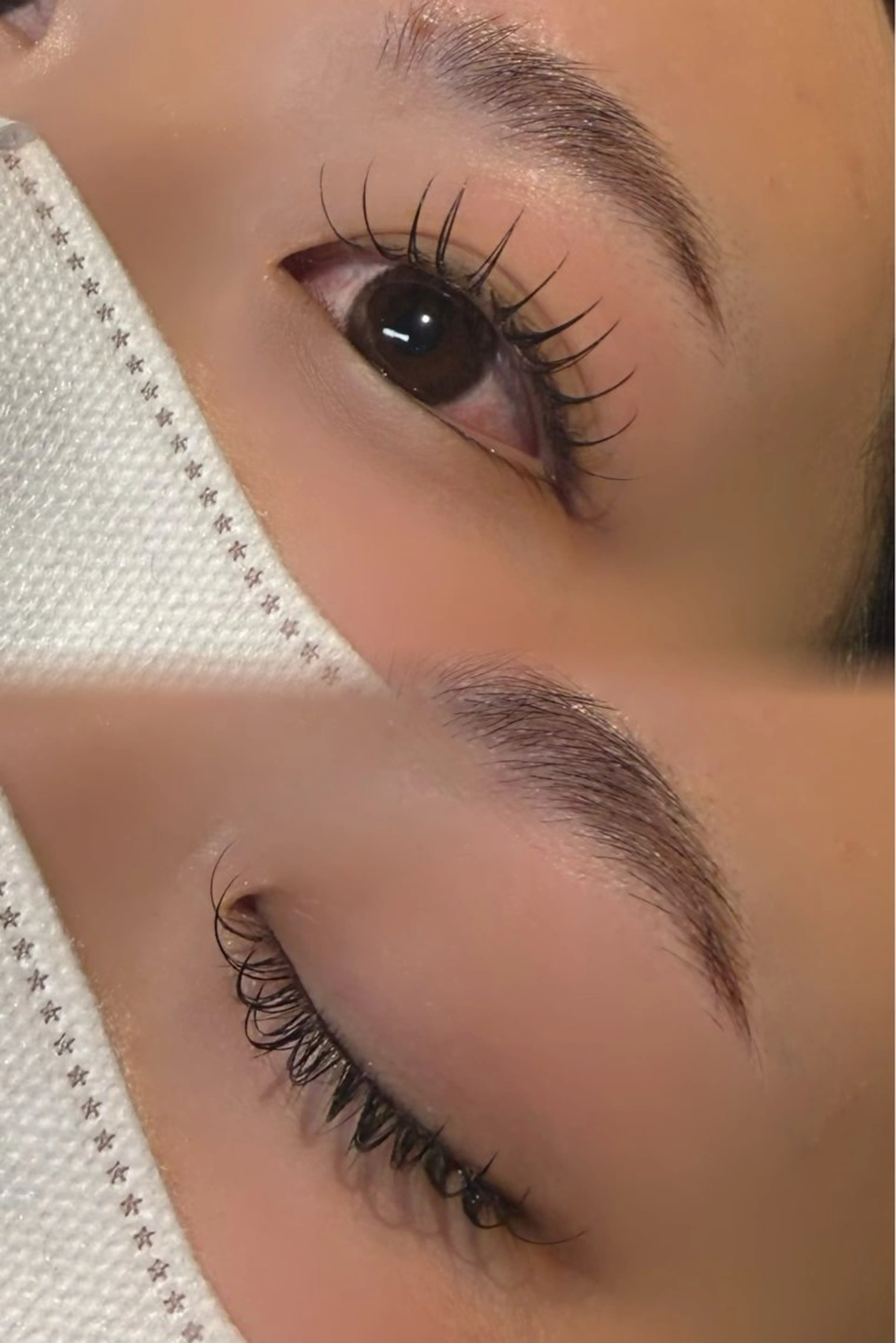 セーブル120本の写真