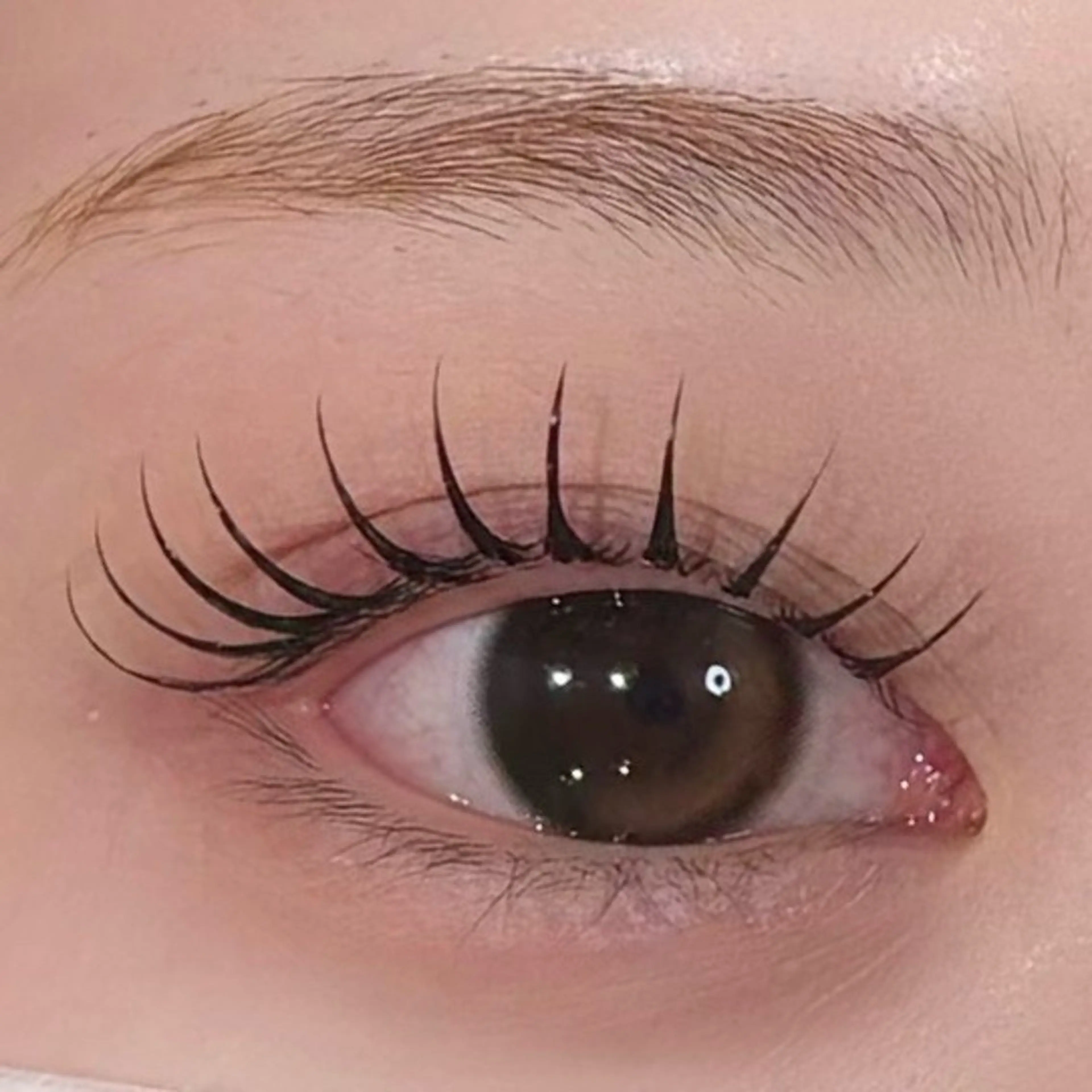 マツエク・マツパ マツパ Plus Ehiku / yuのマツエク・マツパデザイン