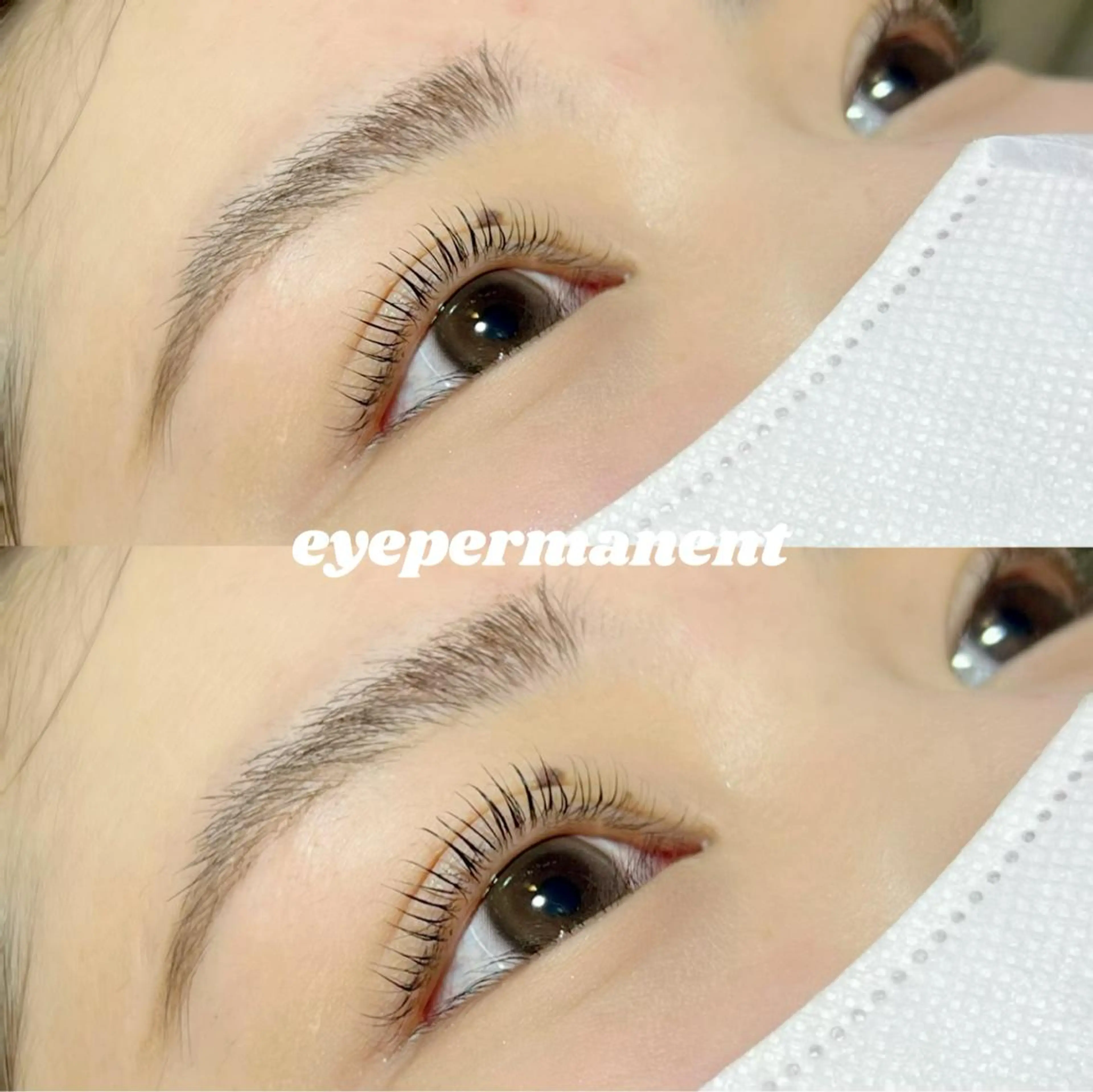 マツエク・マツパ マツパ mona 🎀韓国まつパ/眉毛のマツエク・マツパデザイン