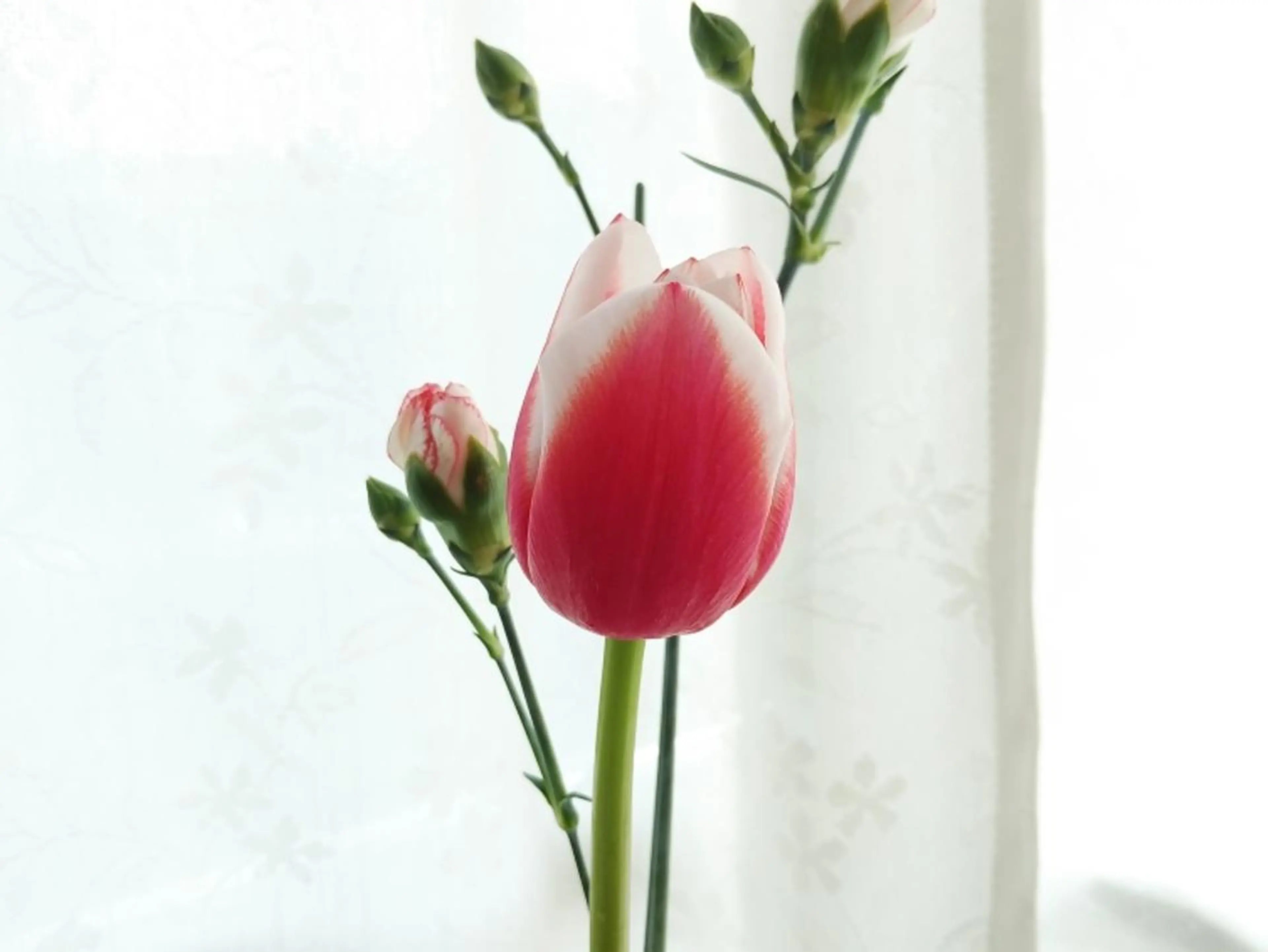 POLAルシアス店 　髙宗のエステ・リラクイメージ