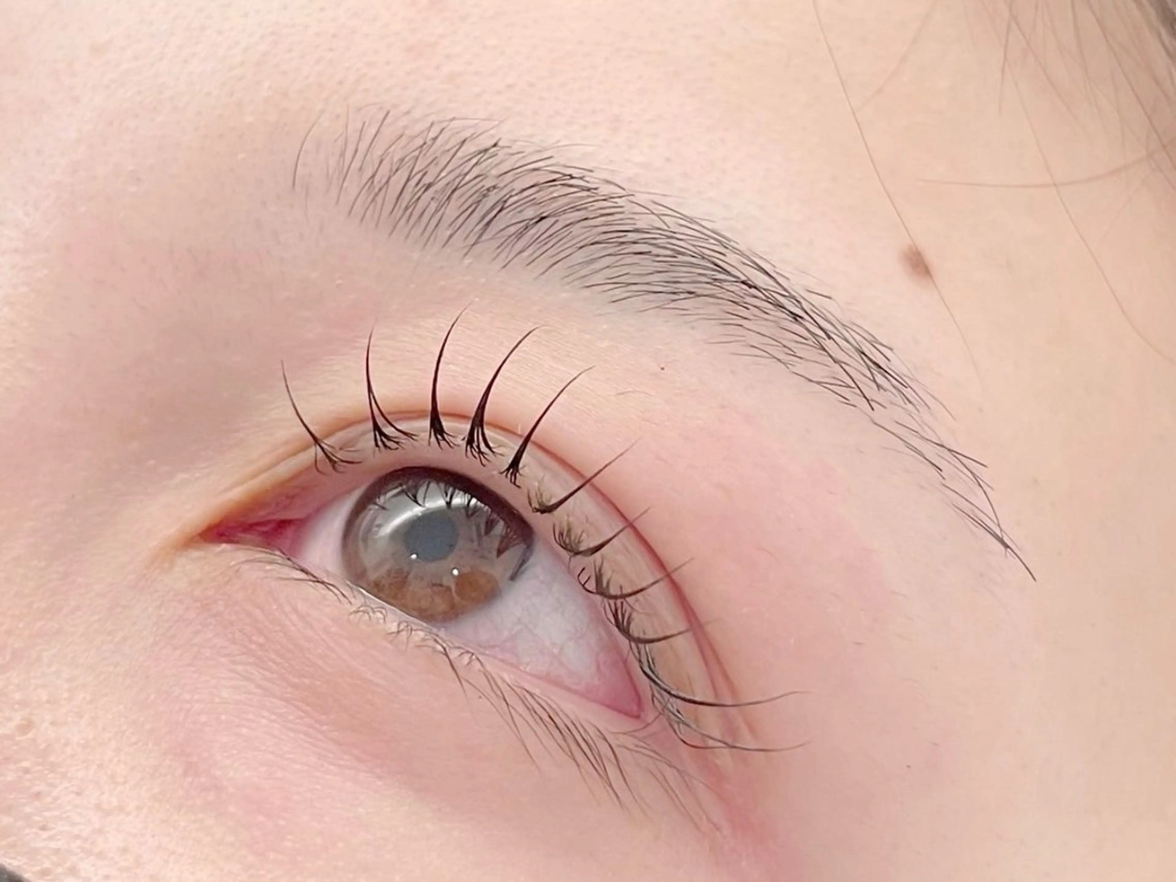 マツエク・マツパ カぺリベラ 寝屋川店の眉毛・アイブロウイメージ