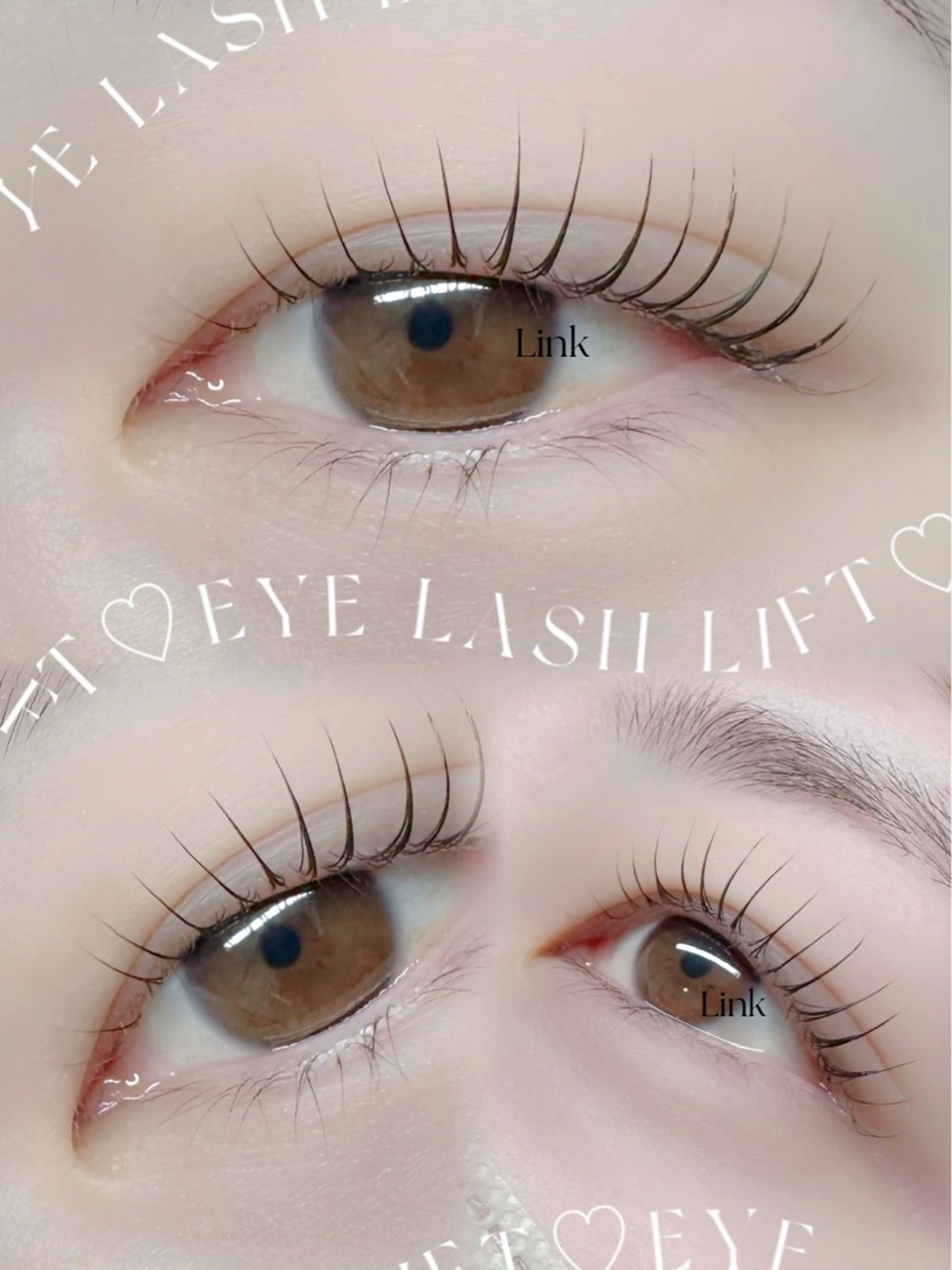 マツエク・マツパ Link−丸野− 【札幌|大通】のマツエク・マツパデザイン