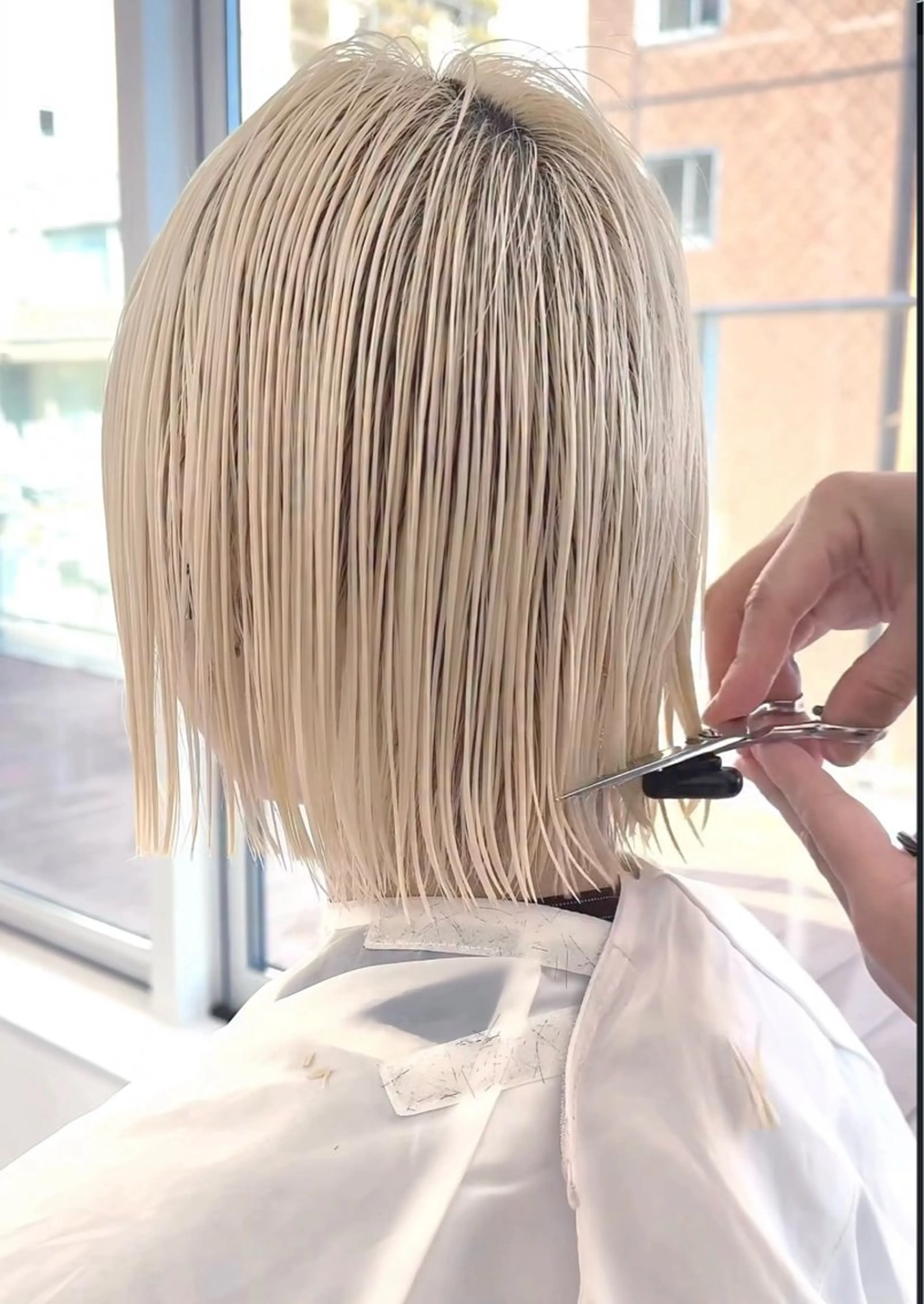 カラー コウ チホウのヘアスタイル