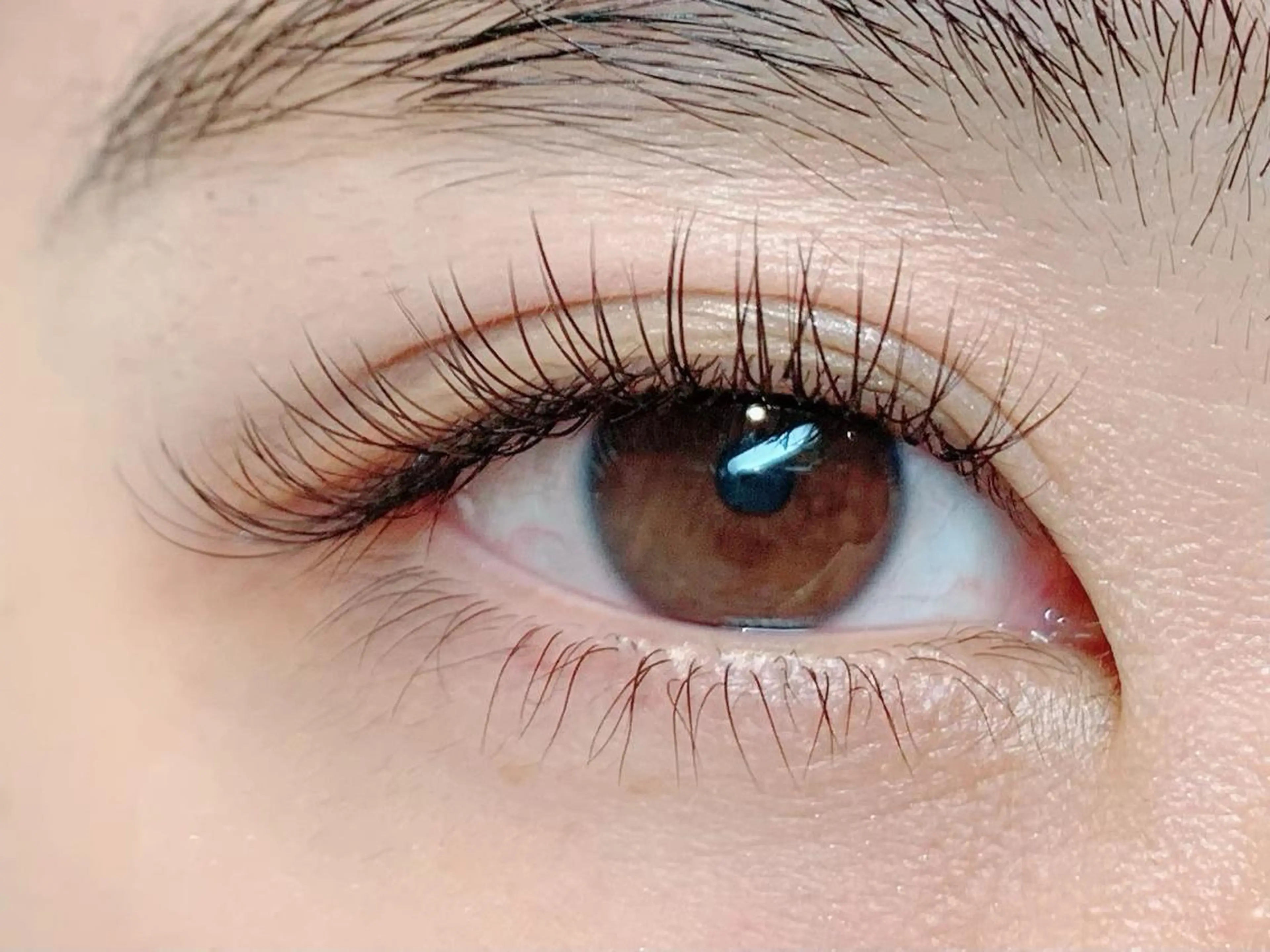 マツエク・マツパ mamAsIenne 寺尾のマツエク・マツパデザイン