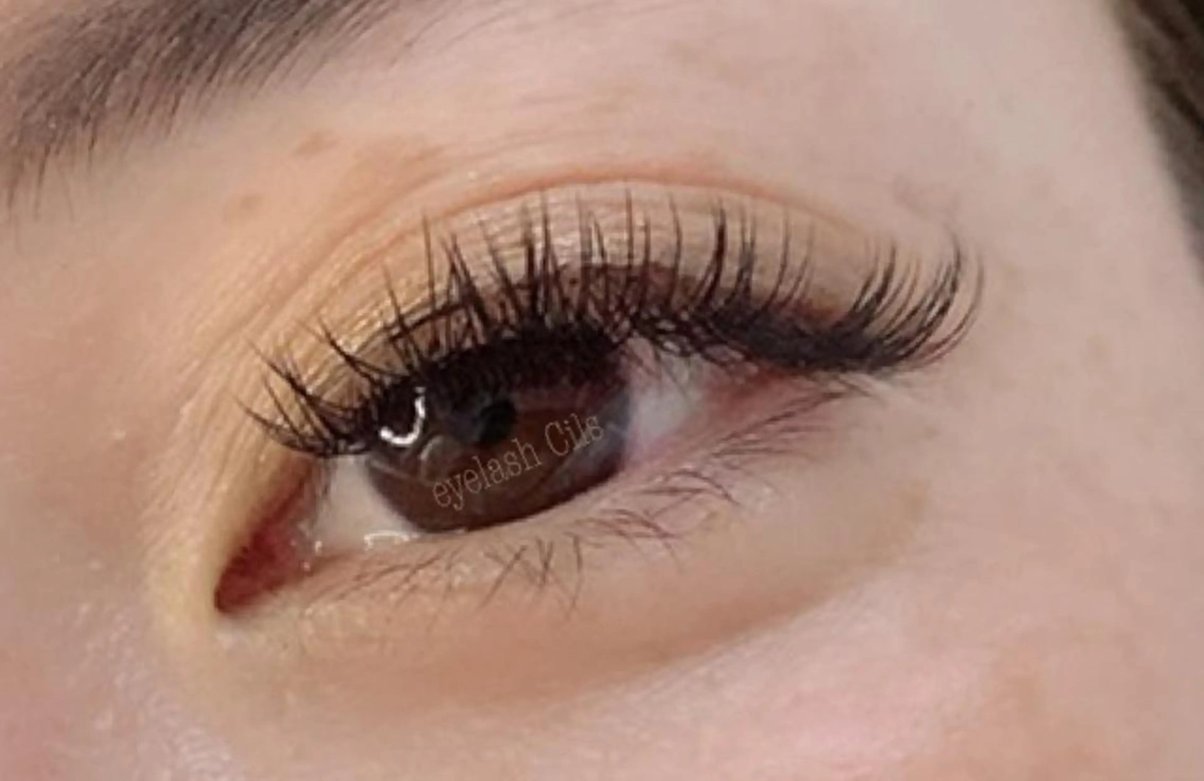 最高級セーブル　フラットラッシュ　100本の写真