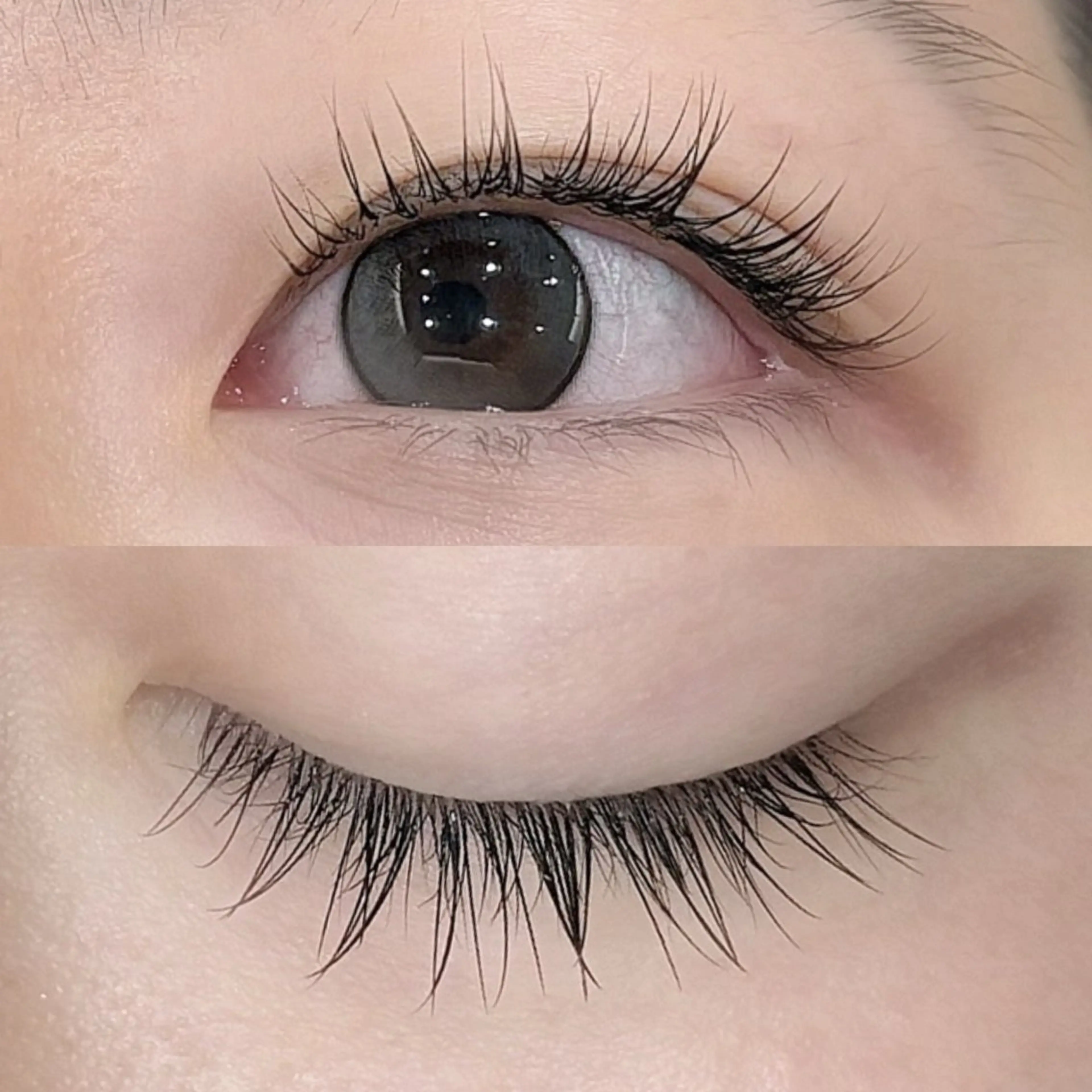 マツエク・マツパ Cカール セーブル Dolly Lash 松本のマツエク・マツパデザイン