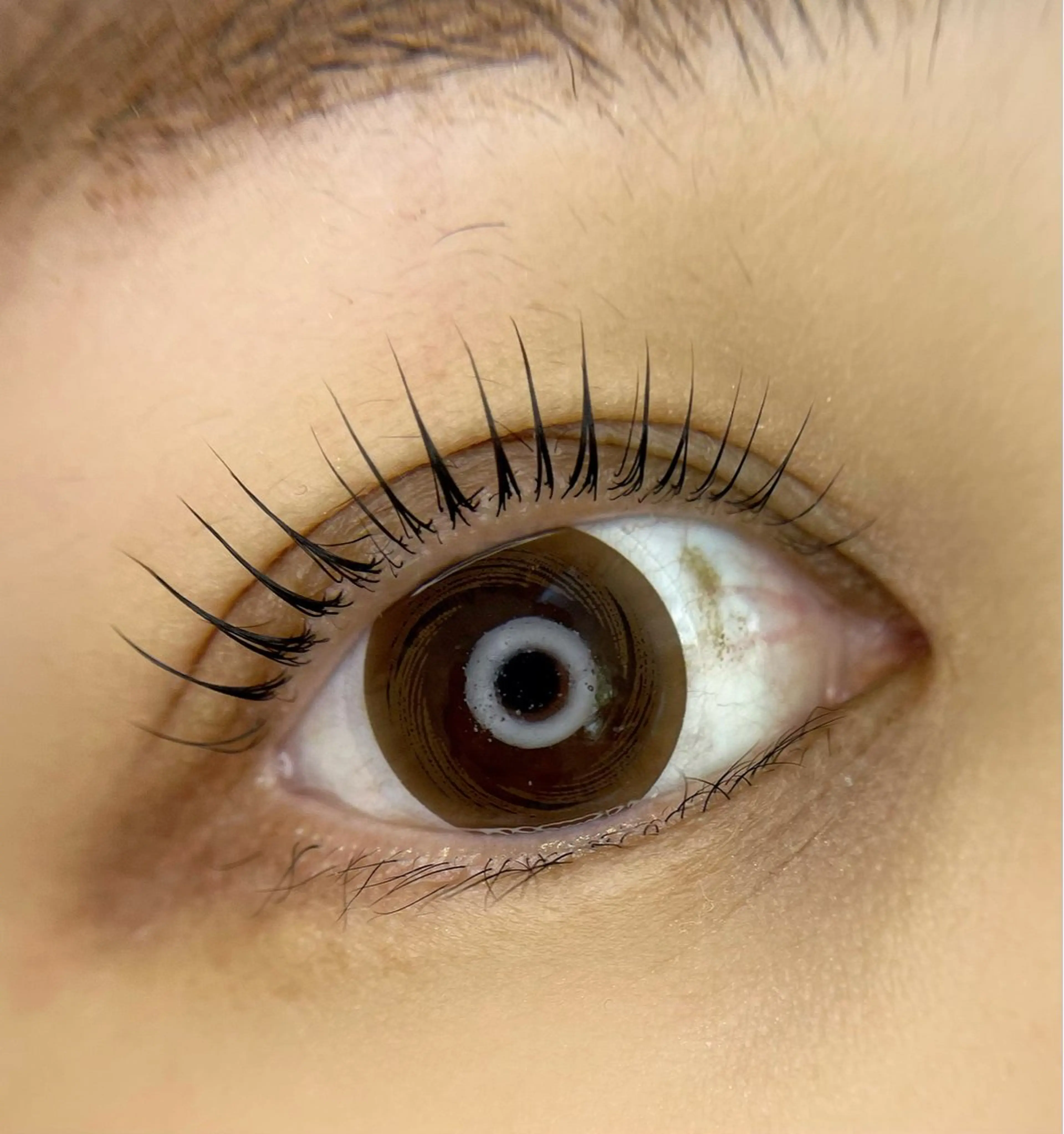 マツエク・マツパ マツパ 💕丸島 夏名🐰🍀のマツエク・マツパデザイン