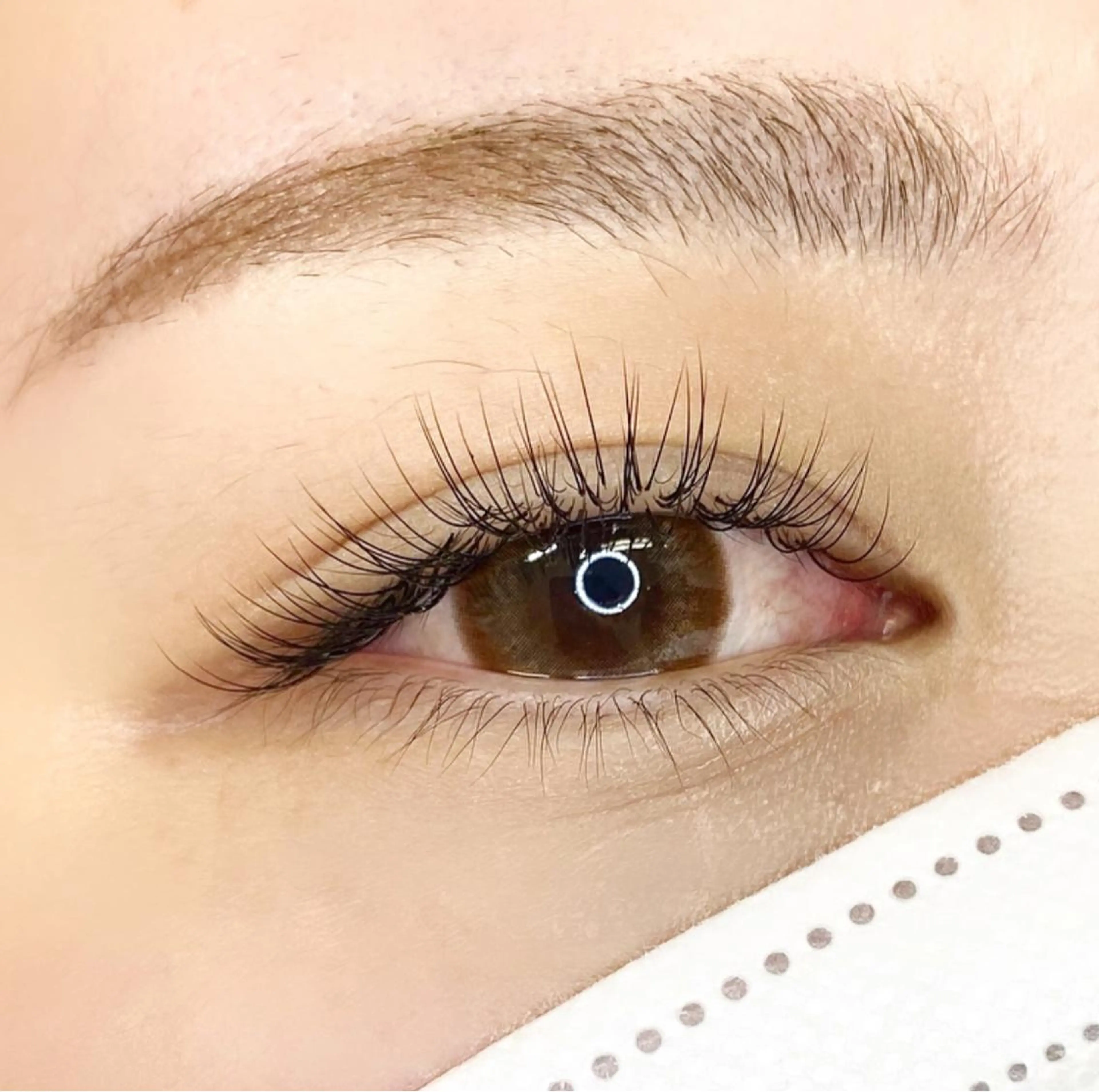 【オフ込】フラットマットラッシュ　120本の写真