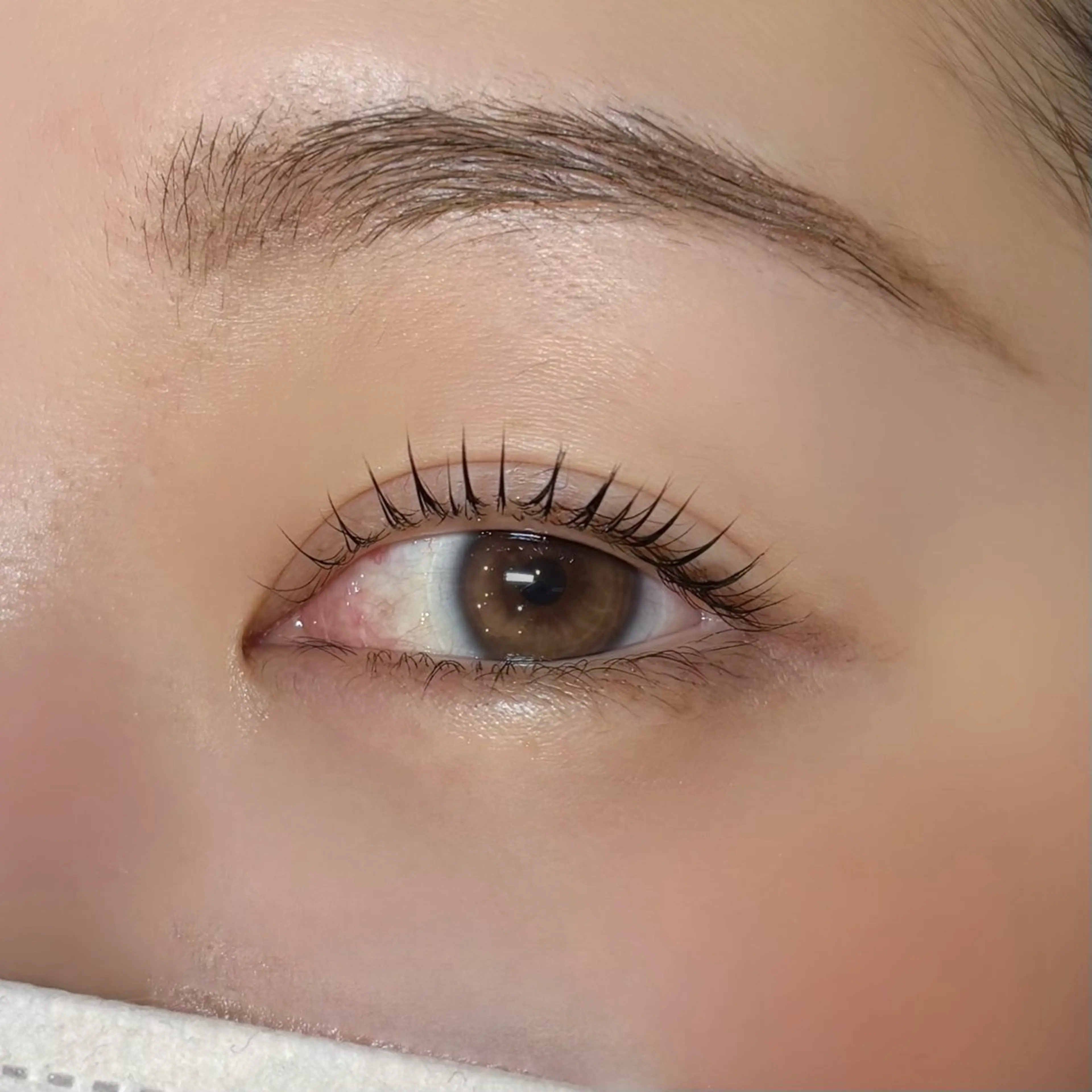 マツエク・マツパ マツパ meguru／マツパ ／マツエク／束感のマツエク・マツパデザイン