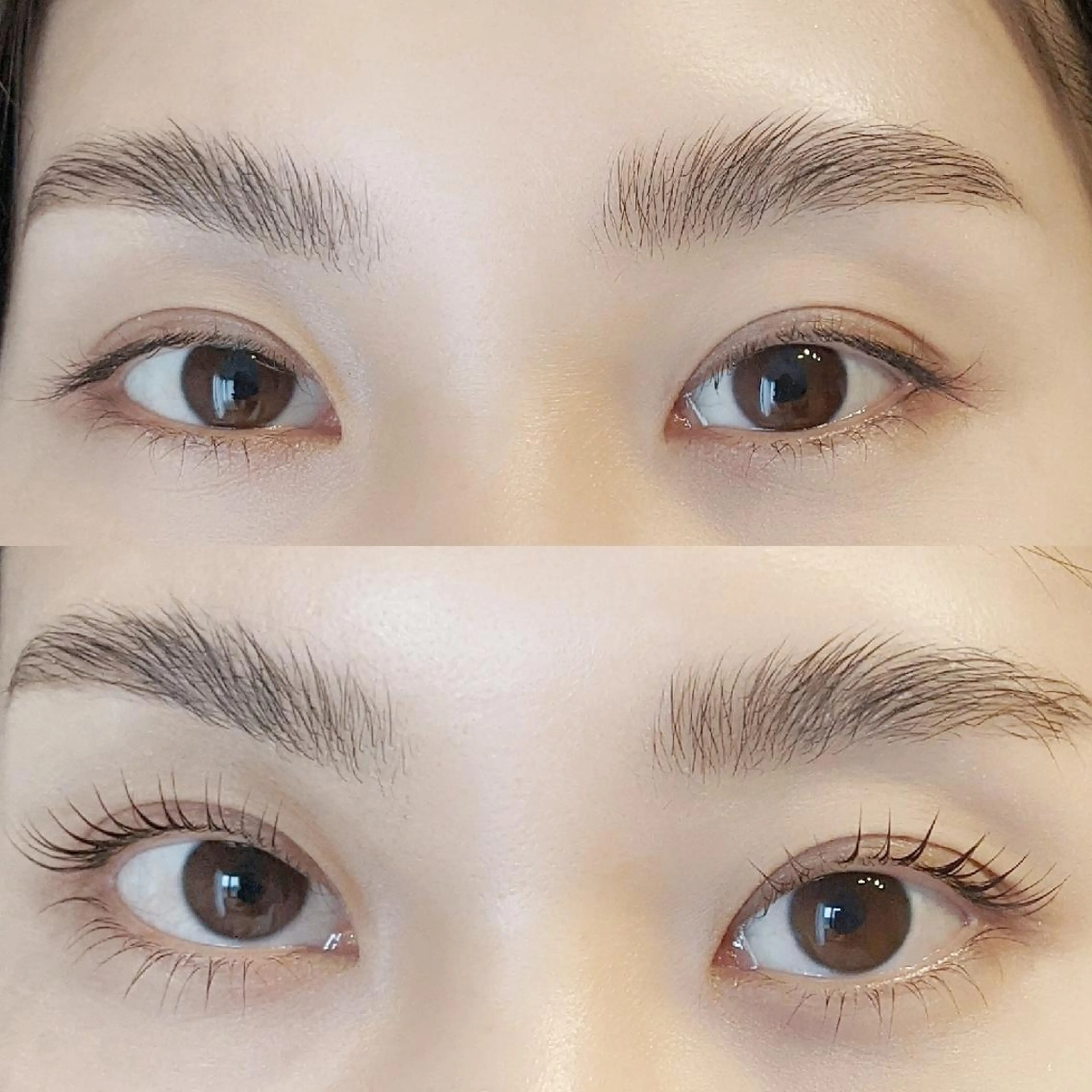 【9月限定✨】上下ラッシュリフトの写真