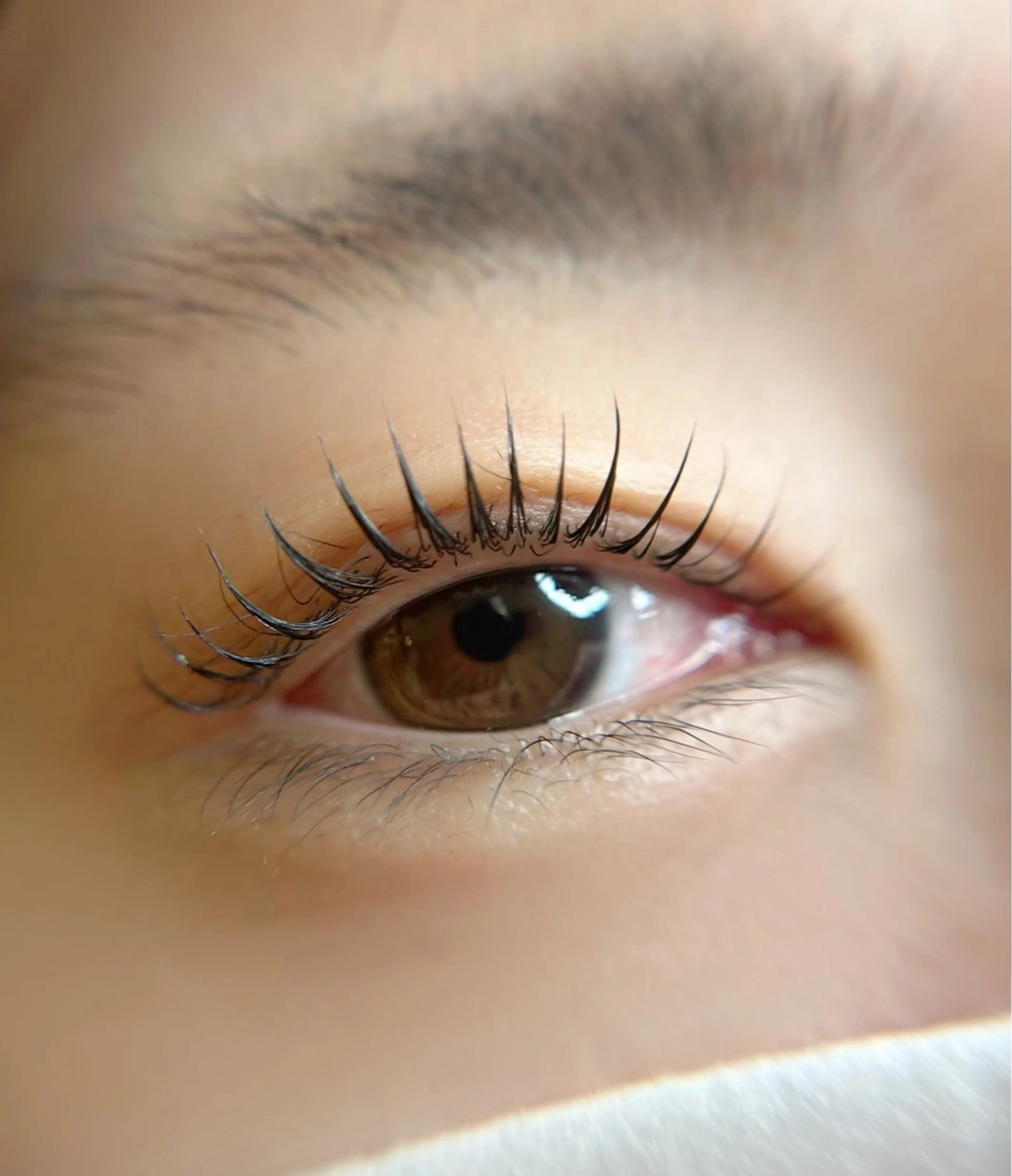 マツエク・マツパ マツパ Citrine eyelash ✿のマツエク・マツパデザイン