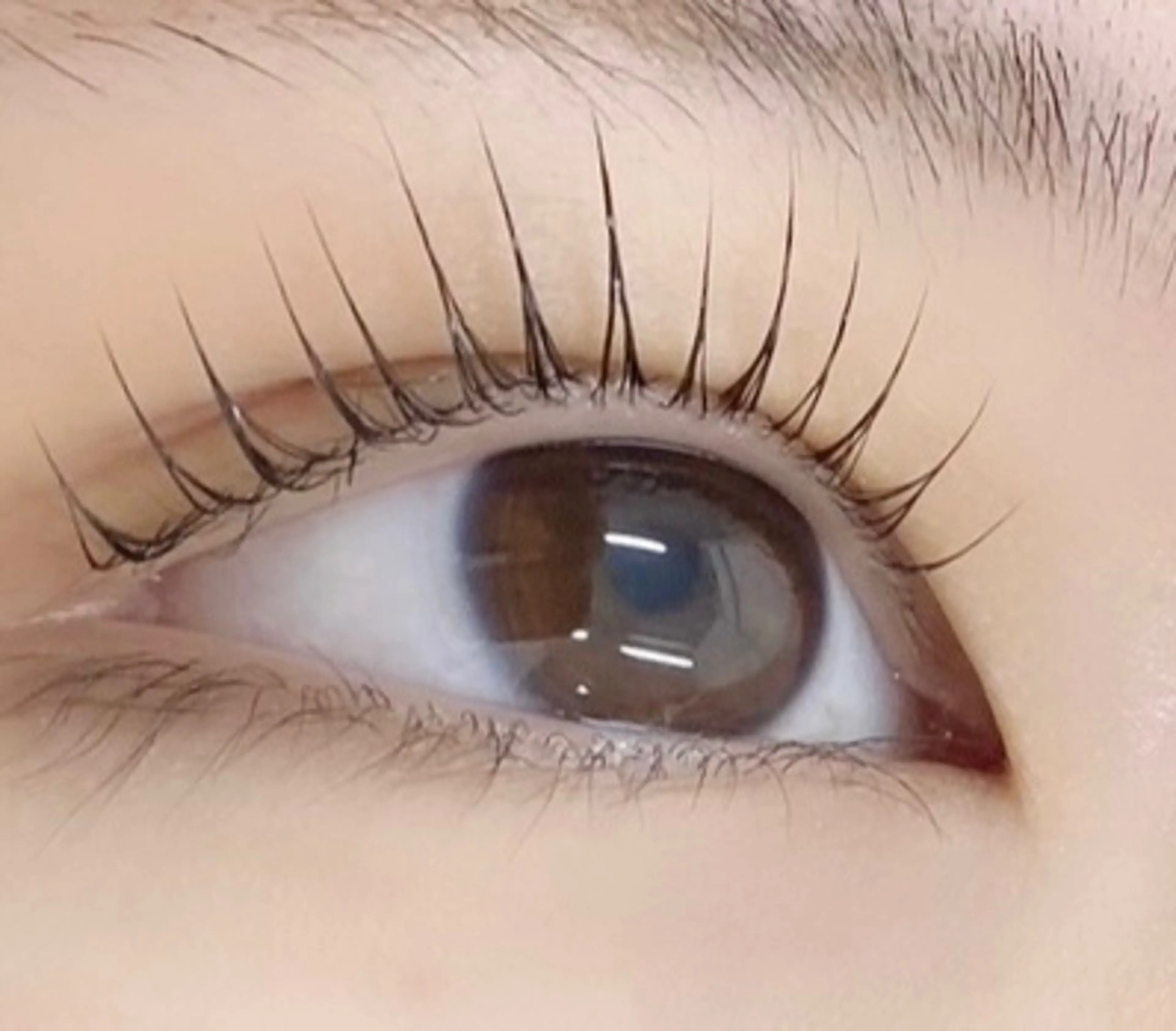 マツエク・マツパ 🌼Alba🌼 犬馬塲のマツエク・マツパデザイン