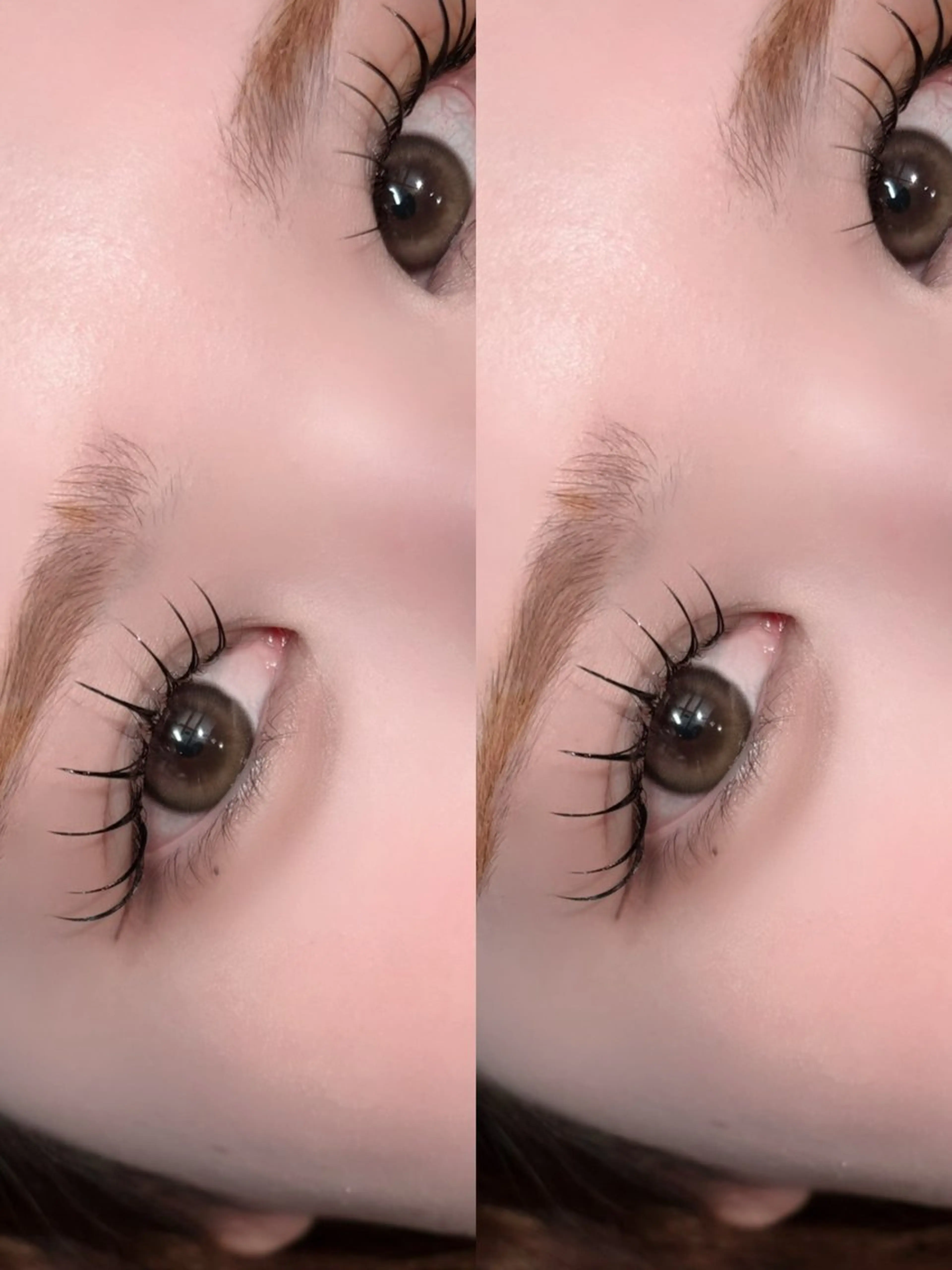 🫧LEDフラット🫧100本🥣オフなし✕ご新規様5500円・顧客様6500円の写真