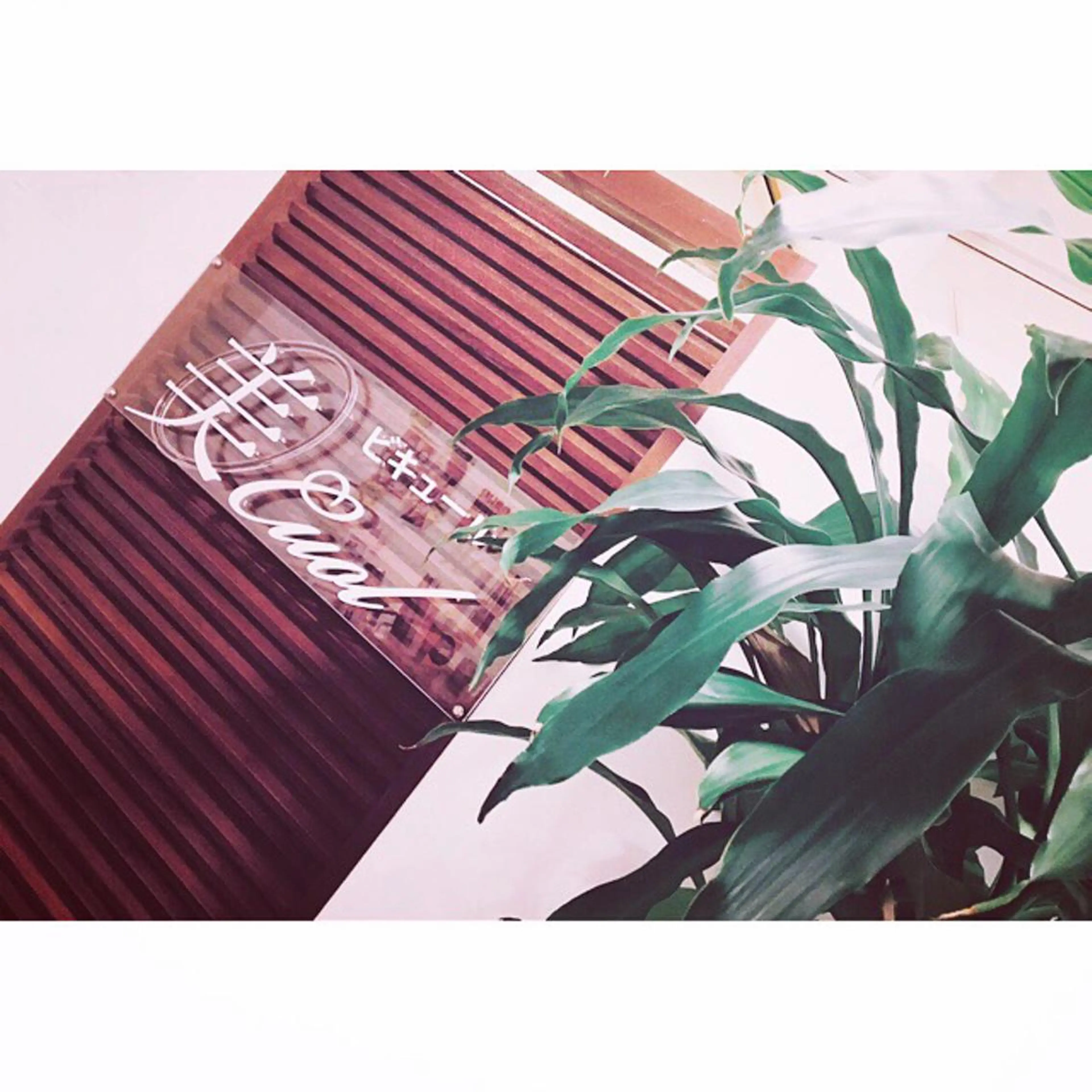 美cuolロココ 森下由香のエステ・リラクイメージ