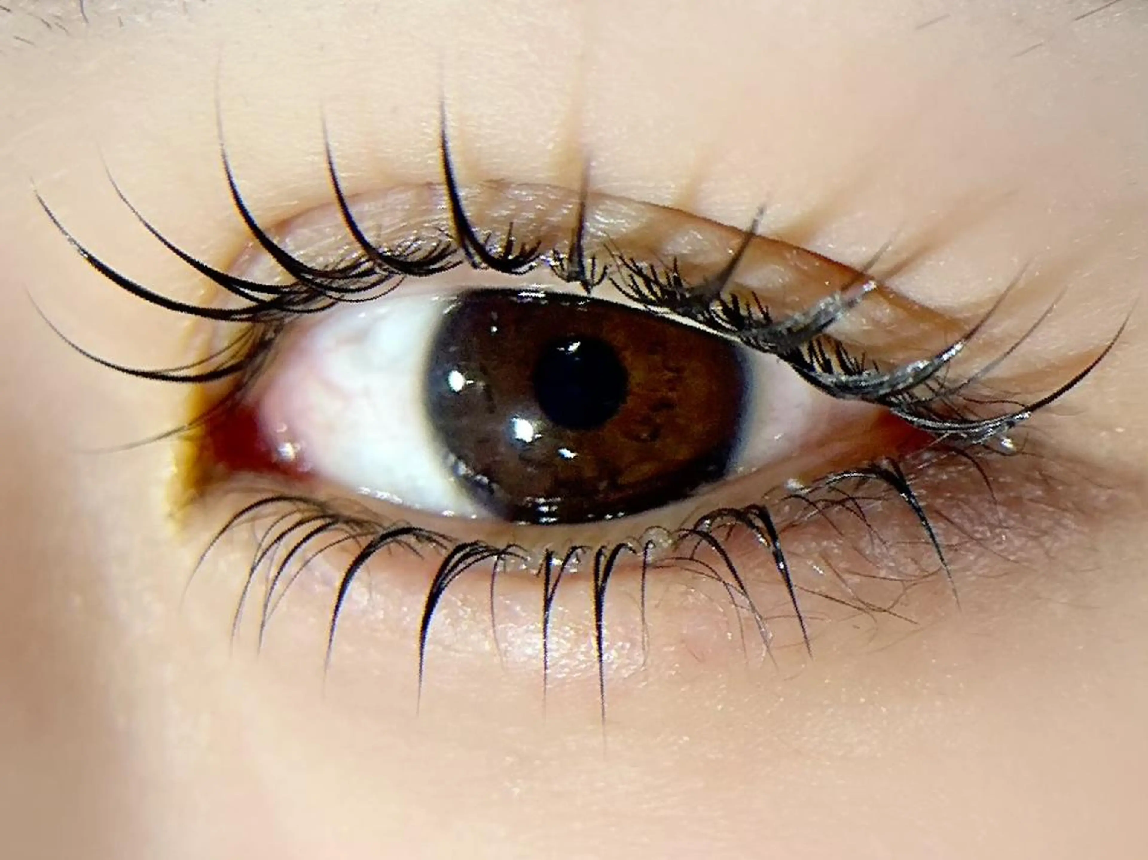 マツエク・マツパ joieange 難波店 Yumeのマツエク・マツパデザイン