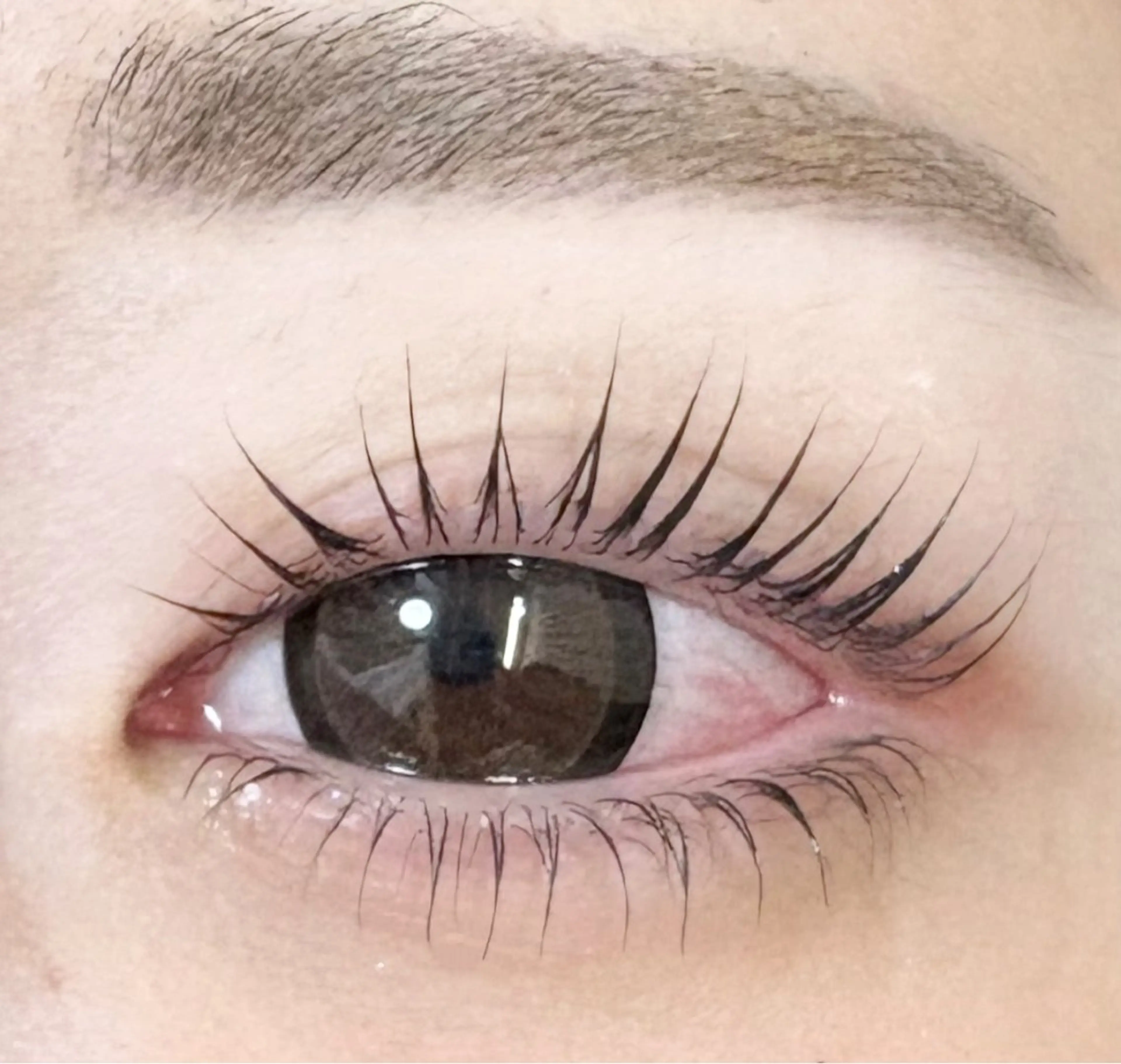 マツエク・マツパ 束感まつ毛 パリジェンヌラッシュリフト 下まつげエクステ Eyelash Nailsalon Neo beauty所属・Neo beauty Rinkaのマツエク・マツパデザイン