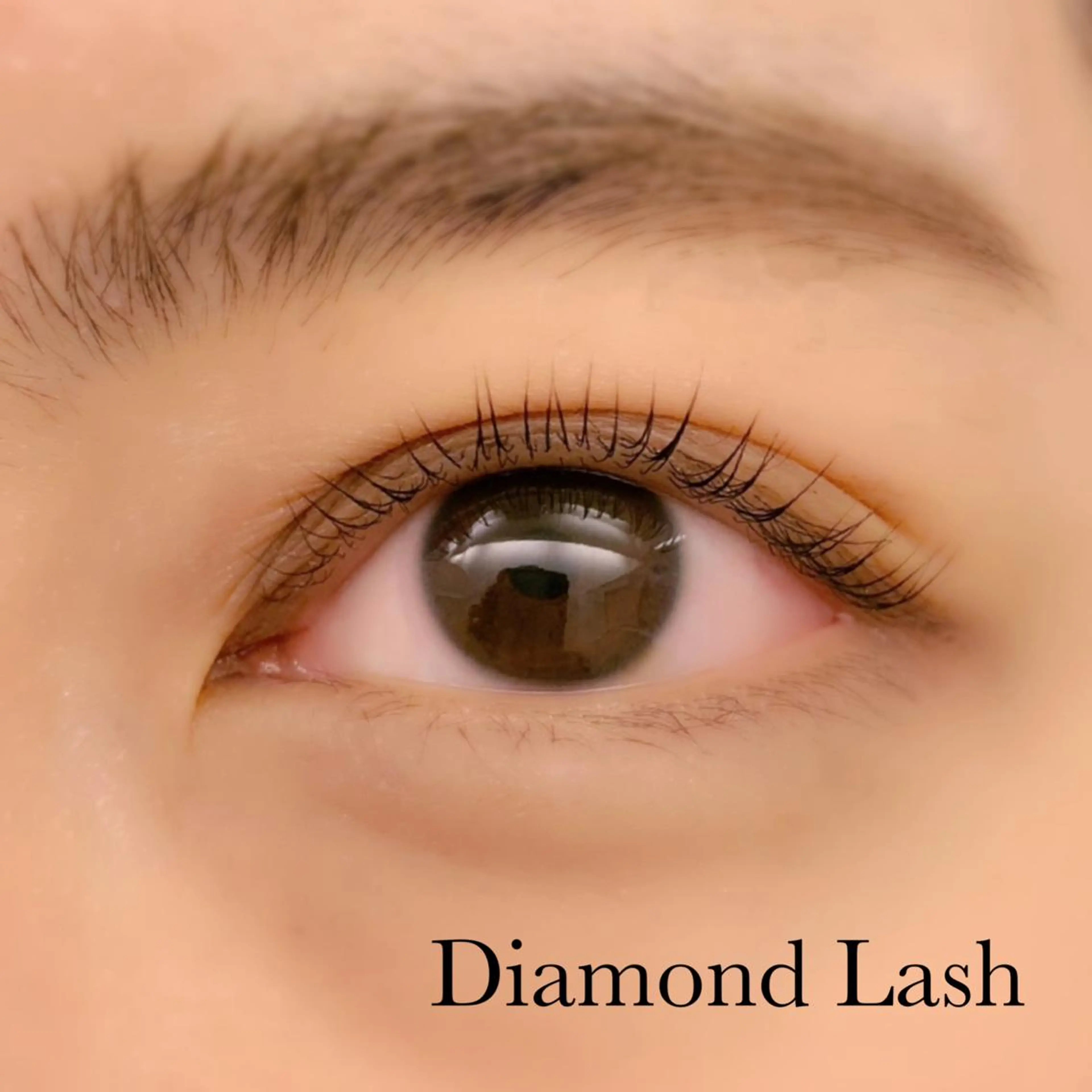 マツエク・マツパ DL・BEAUT 表参道の眉毛・アイブロウイメージ