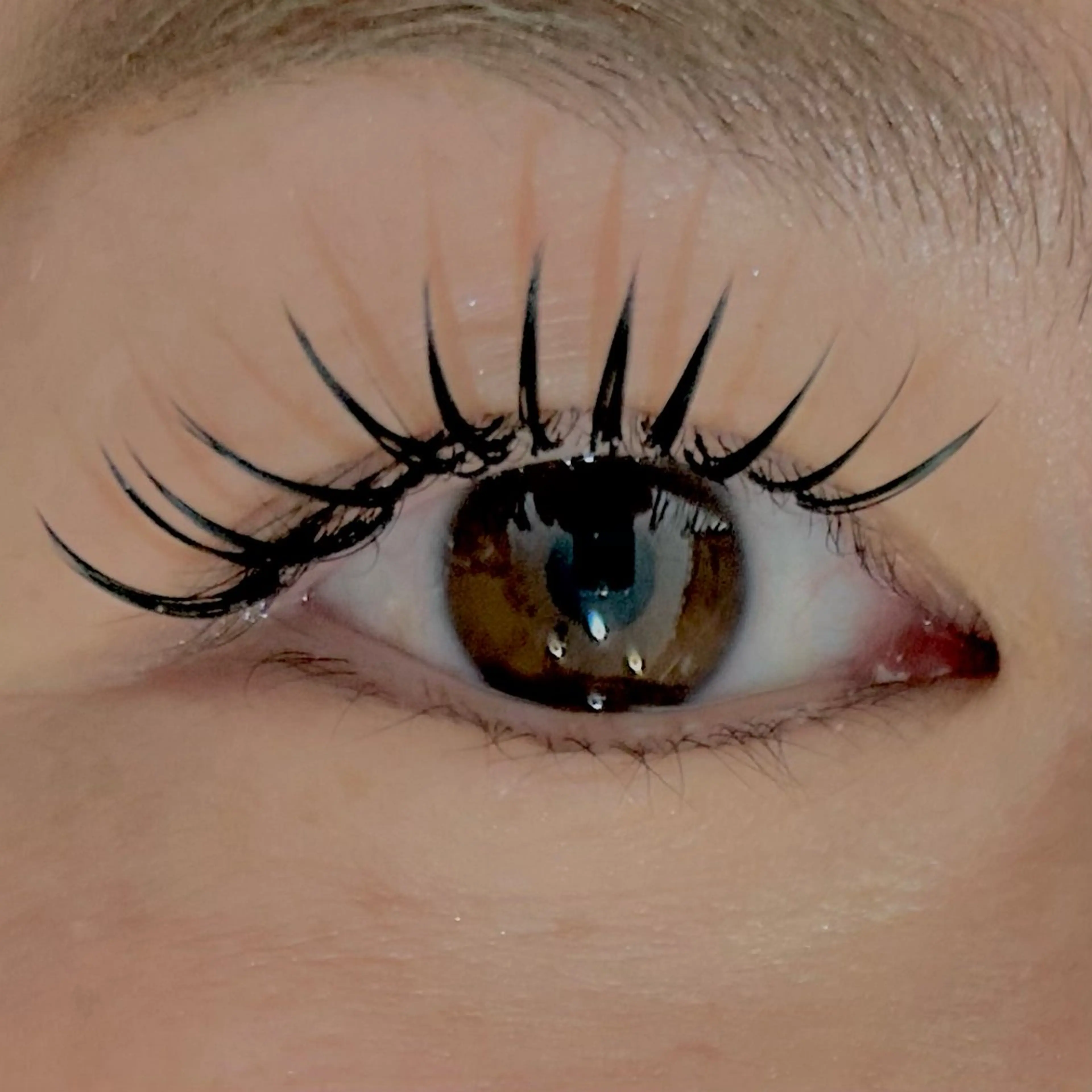 【高持続力】ダブルフラット🪩80束(LED変更可能)の写真